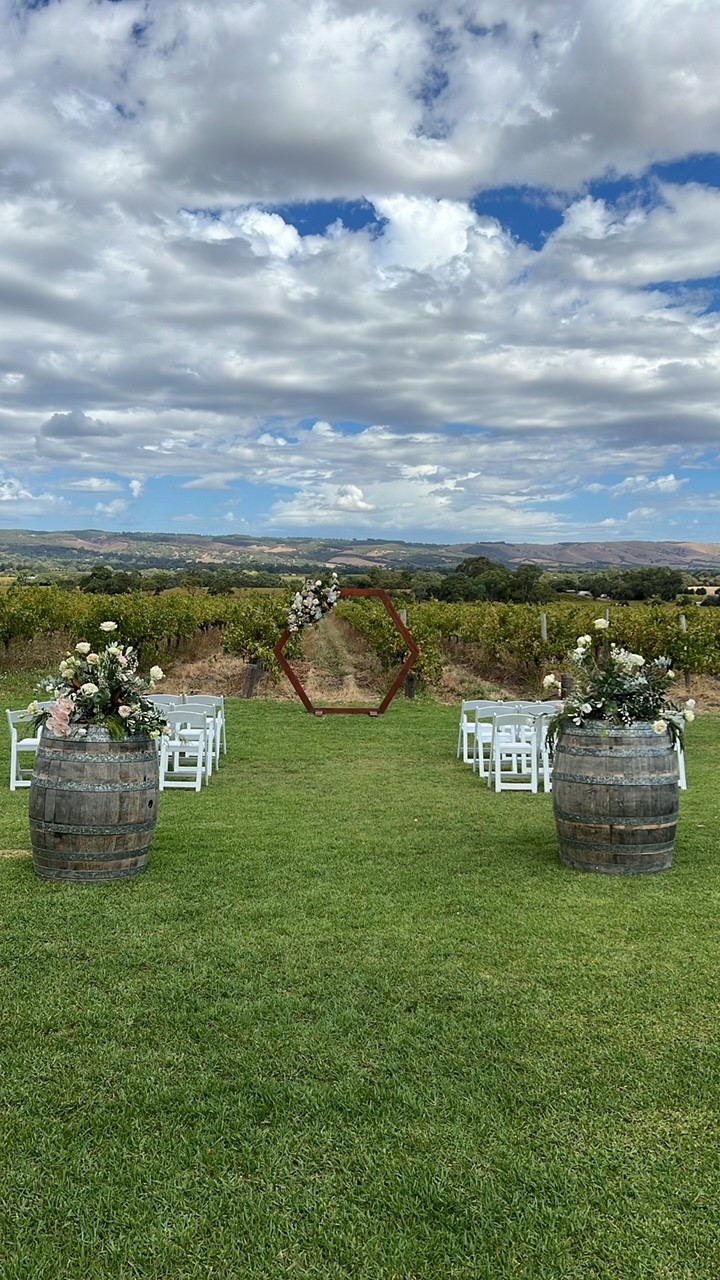 Ekhidna Kitchen & Wines-2364384