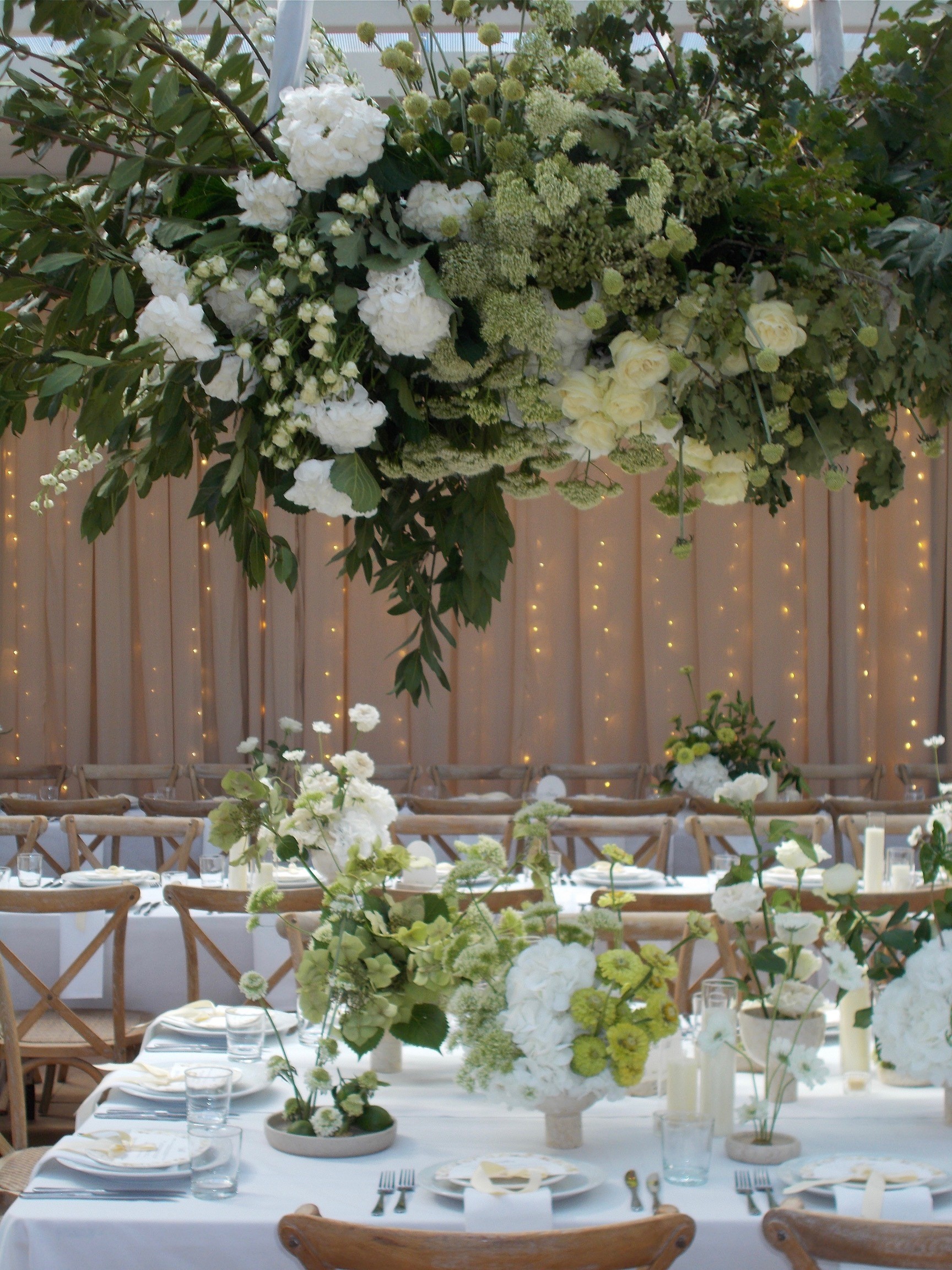 Ekhidna Kitchen & Wines-2364389