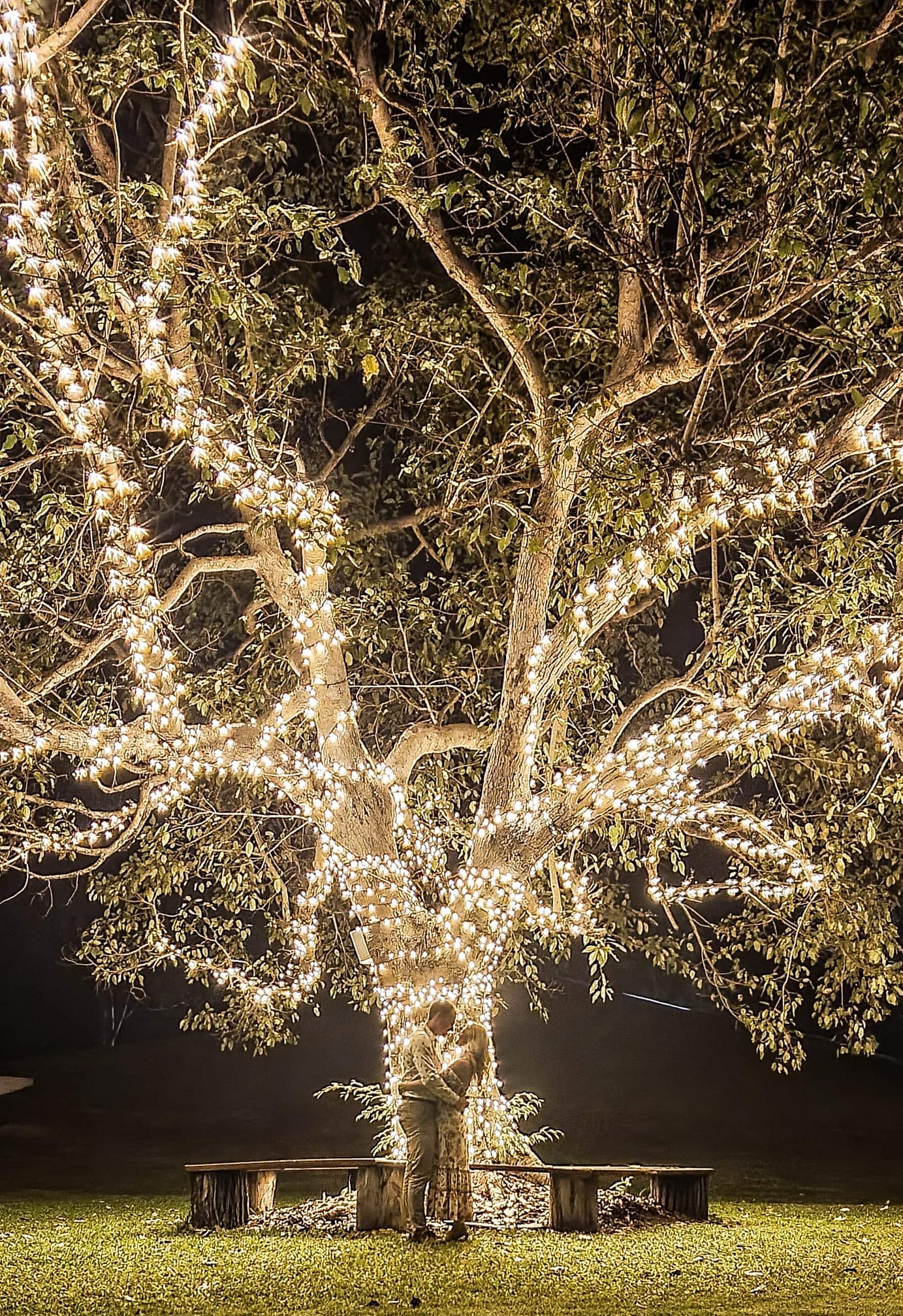 Elite Barn Weddings-2091098