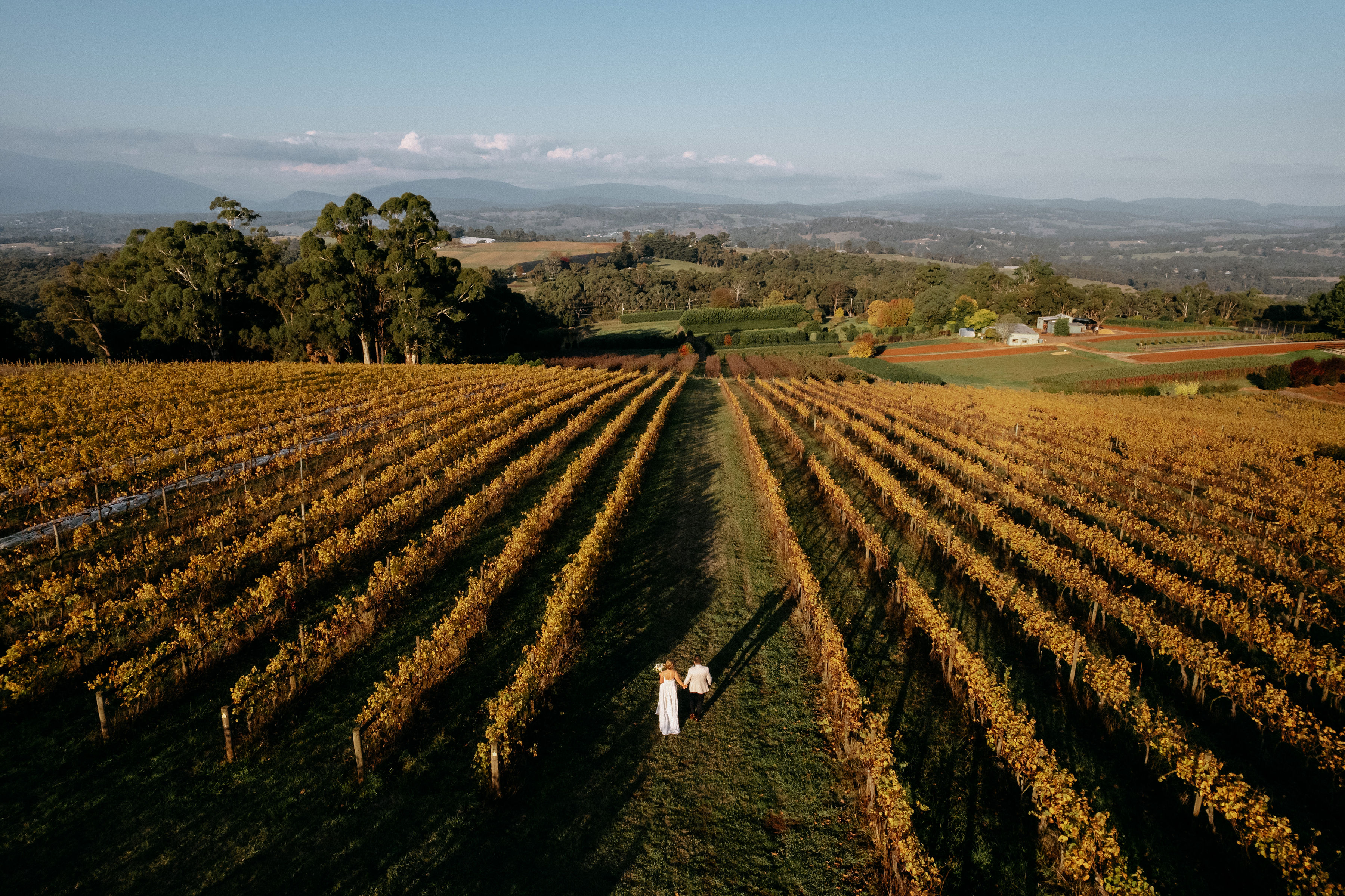 Elmswood Estate Weddings & Events-2415669