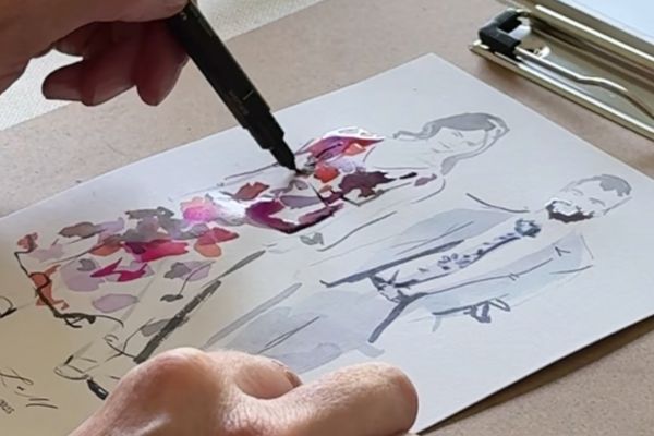 Erin Whitty Illustrations