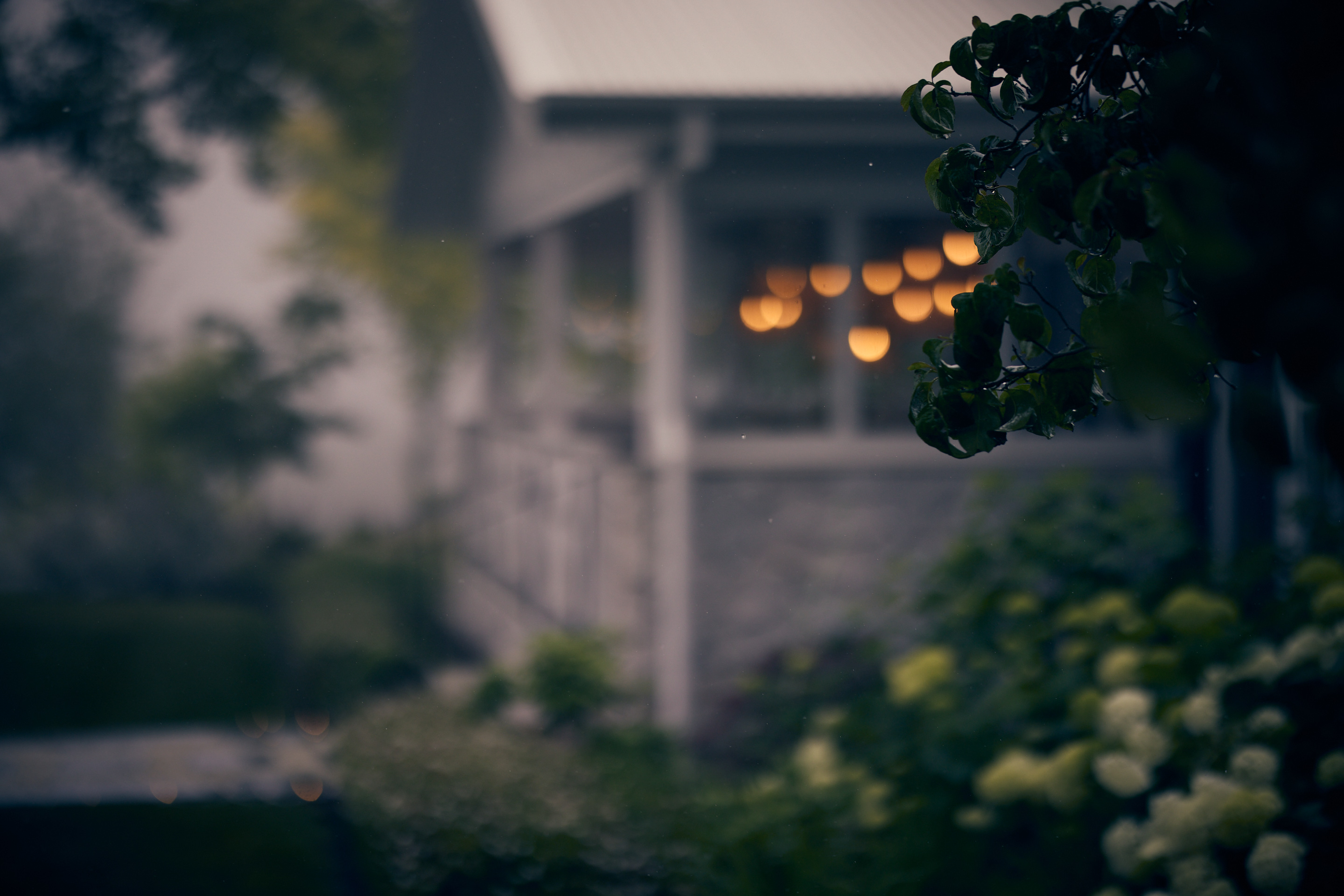 Events by Dee at Isca House-2479246