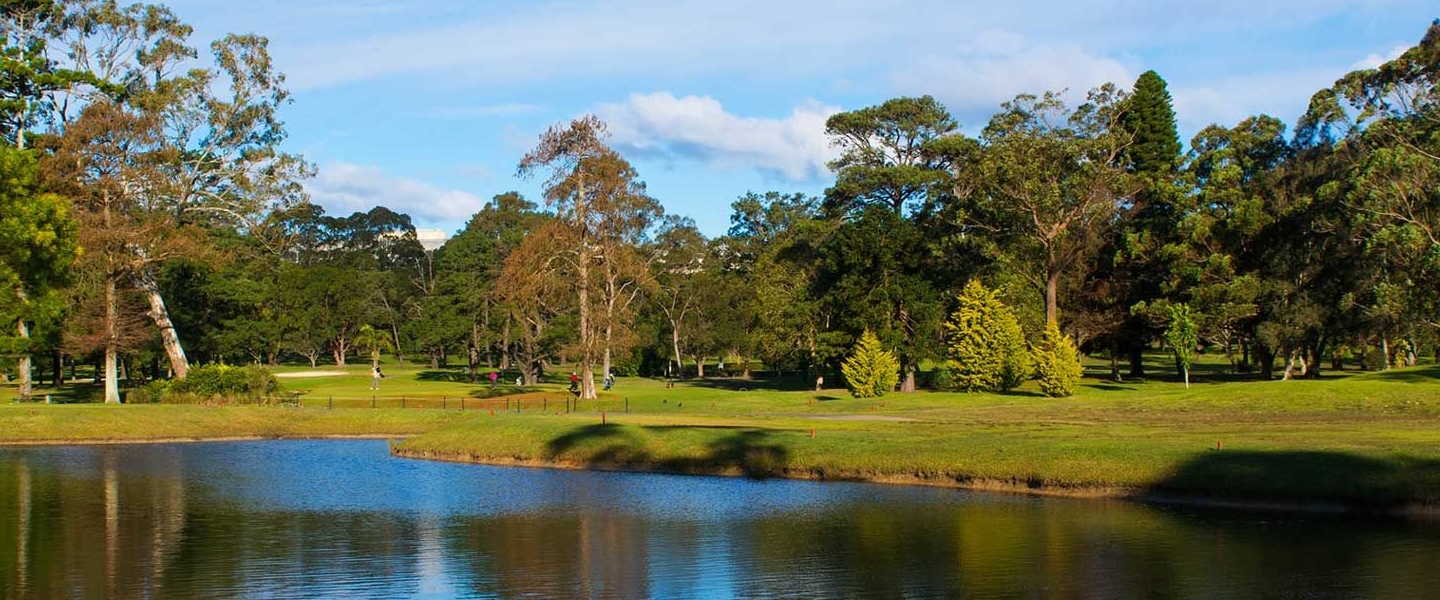 Gosford Golf Club Ltd-1445253