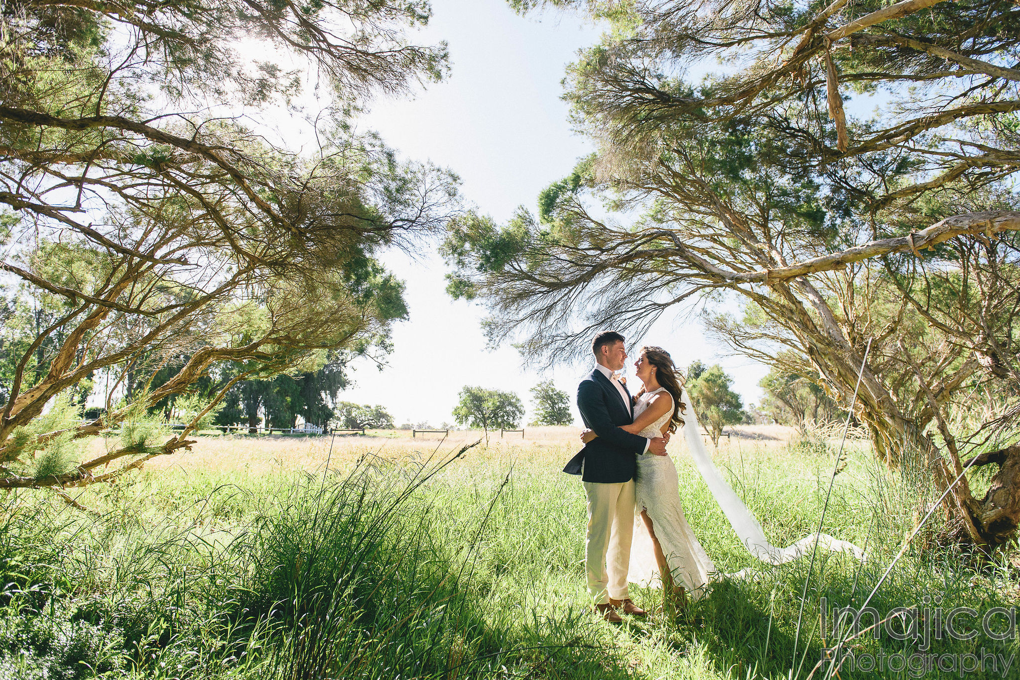 Fairlawn Estate-2165874