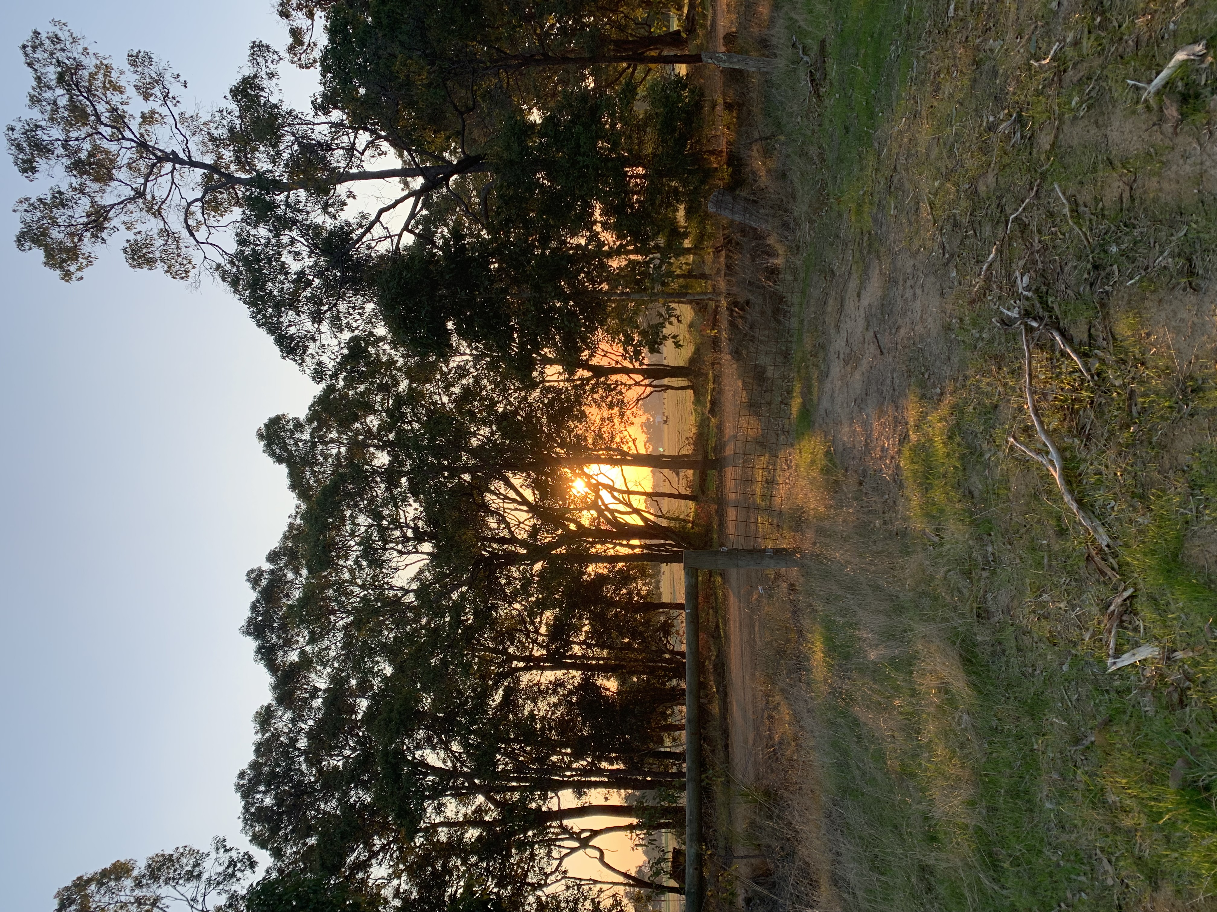 Ferguson Valley Escape-2301280