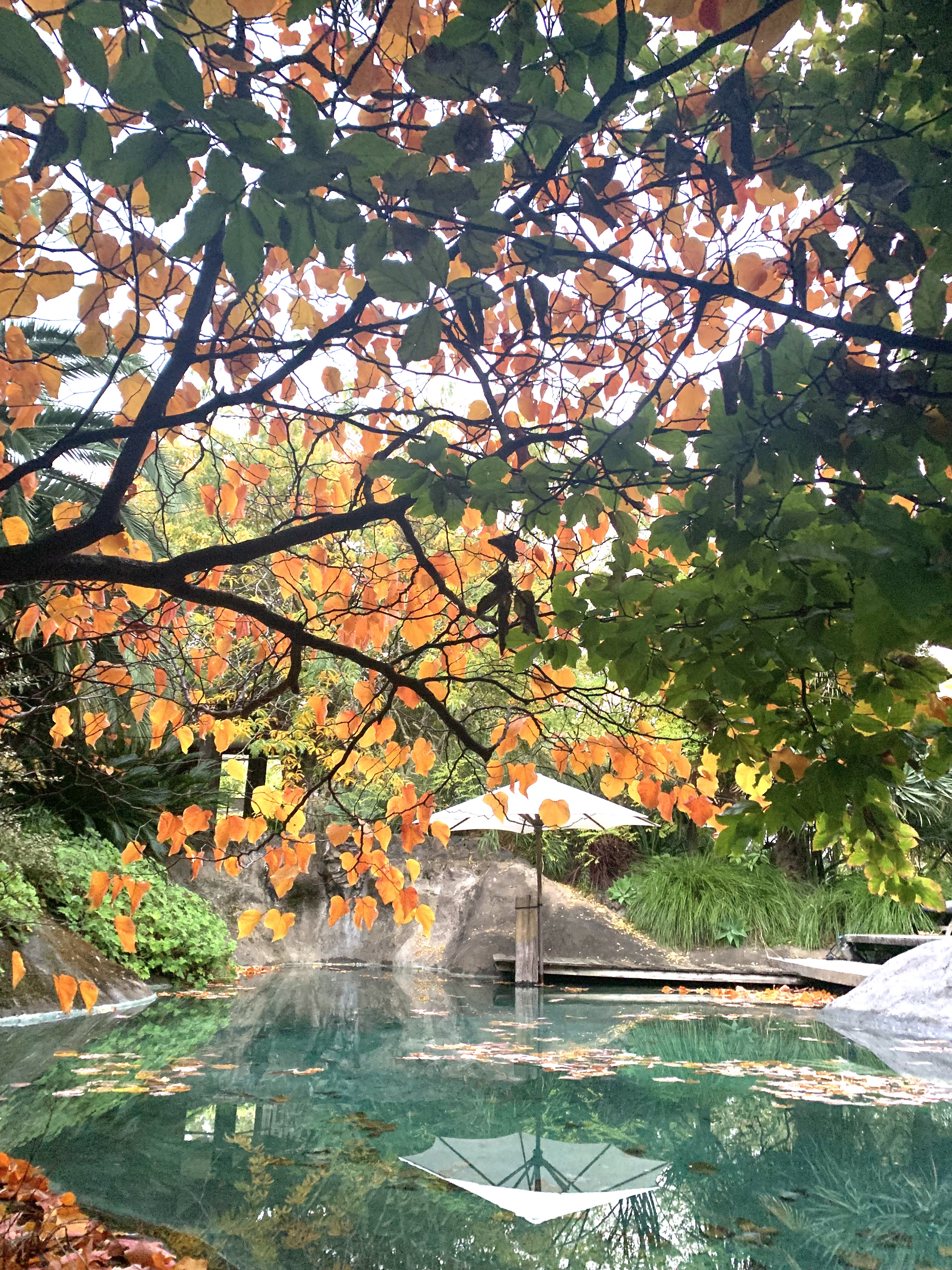 Ferguson Valley Escape-2301281