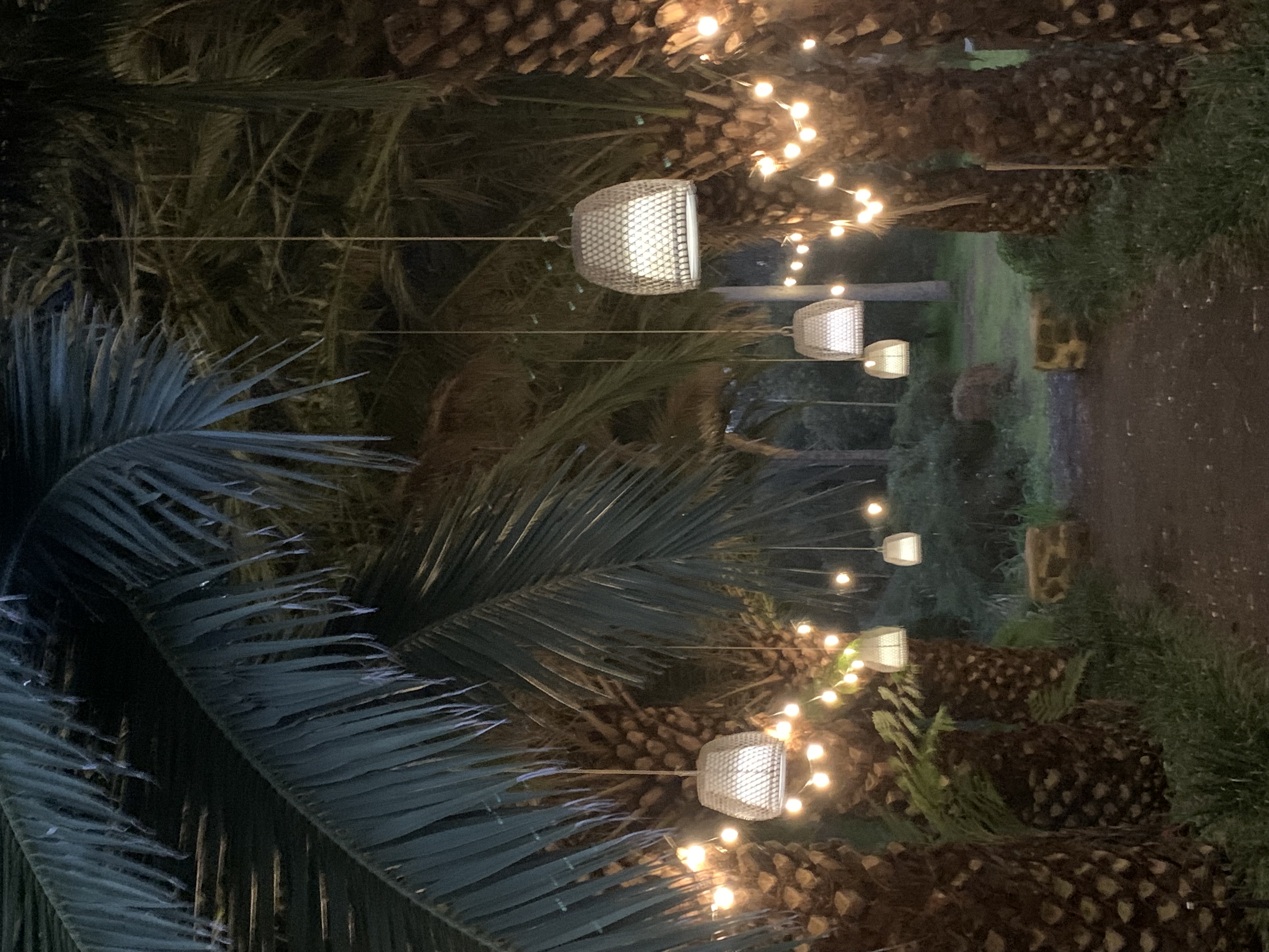 Ferguson Valley Escape-2301284