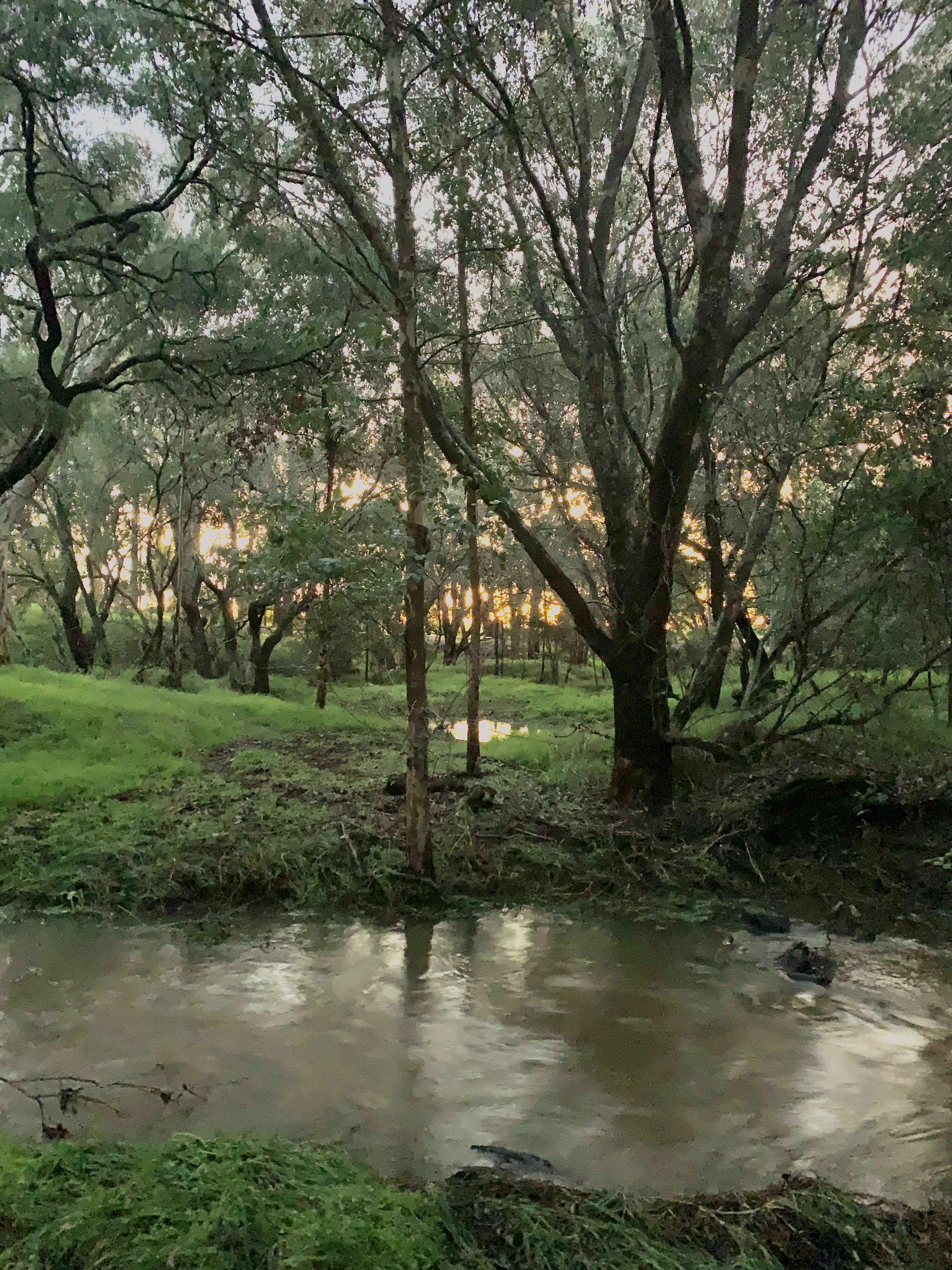 Ferguson Valley Escape-2301288