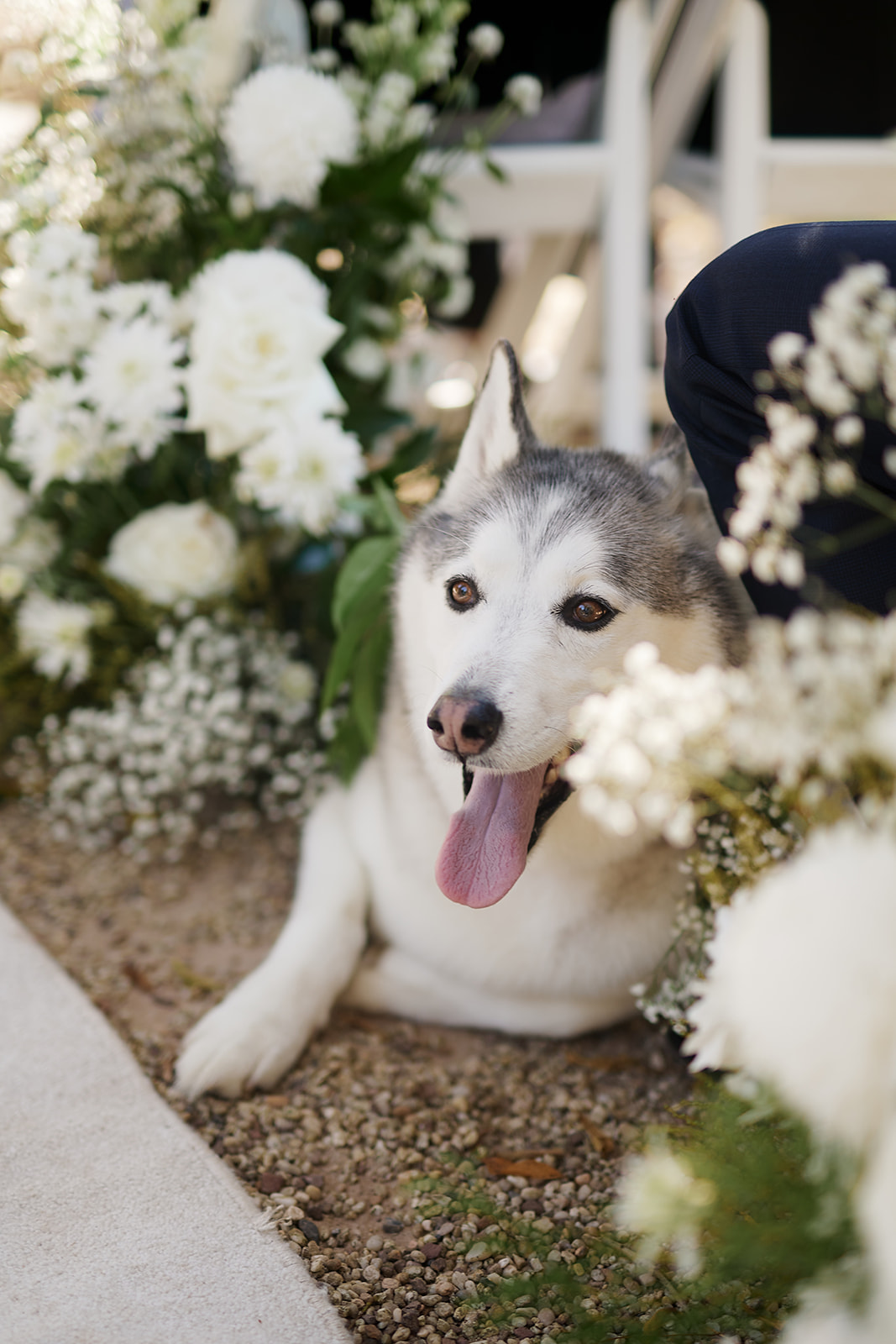 Fernbank Farm-2356673