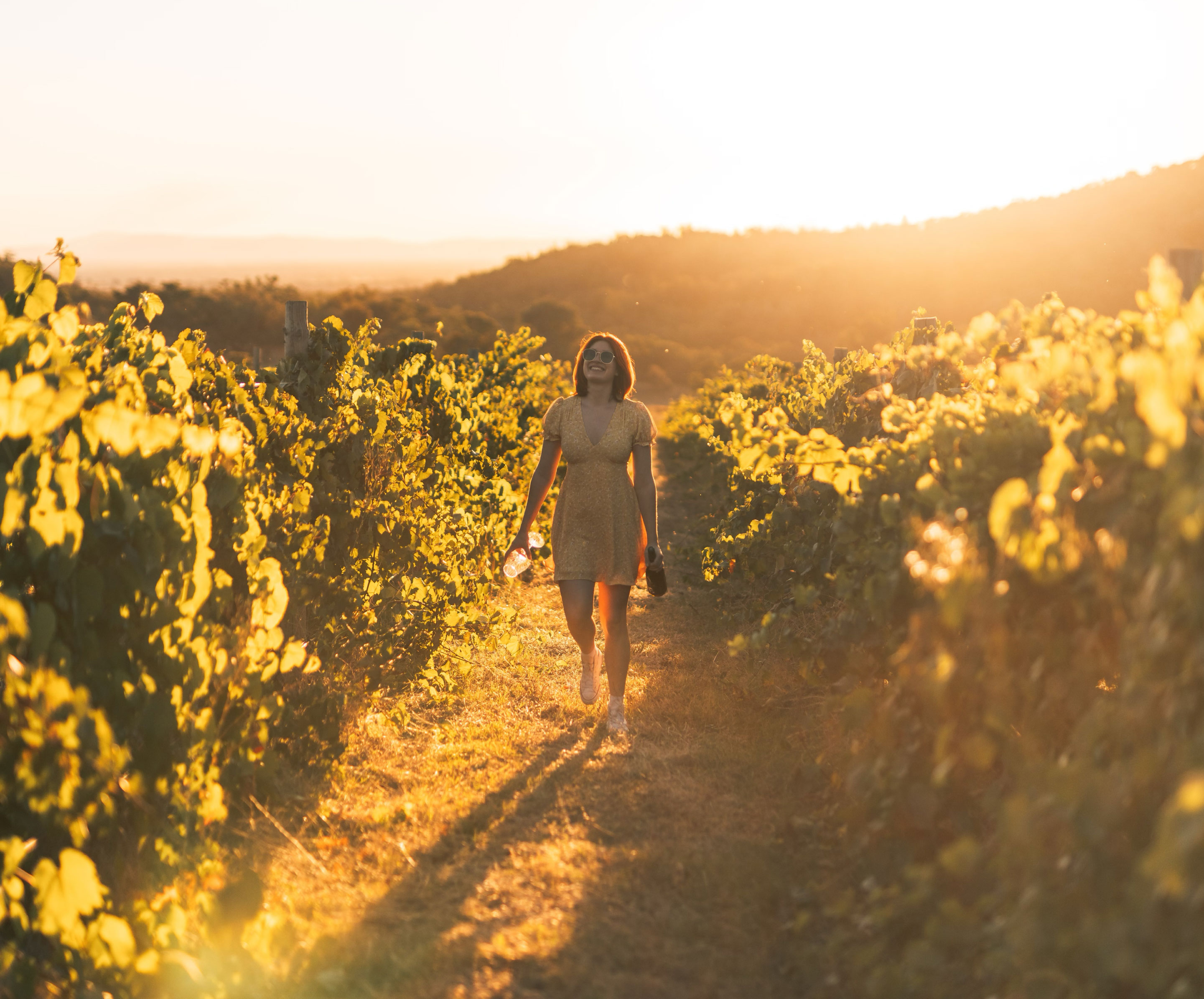 Glenbosch Wine Estate-2370687