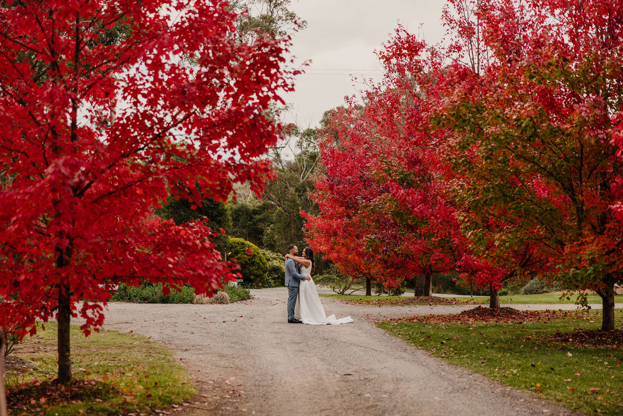 Growwild Wildflower Farm-2409157