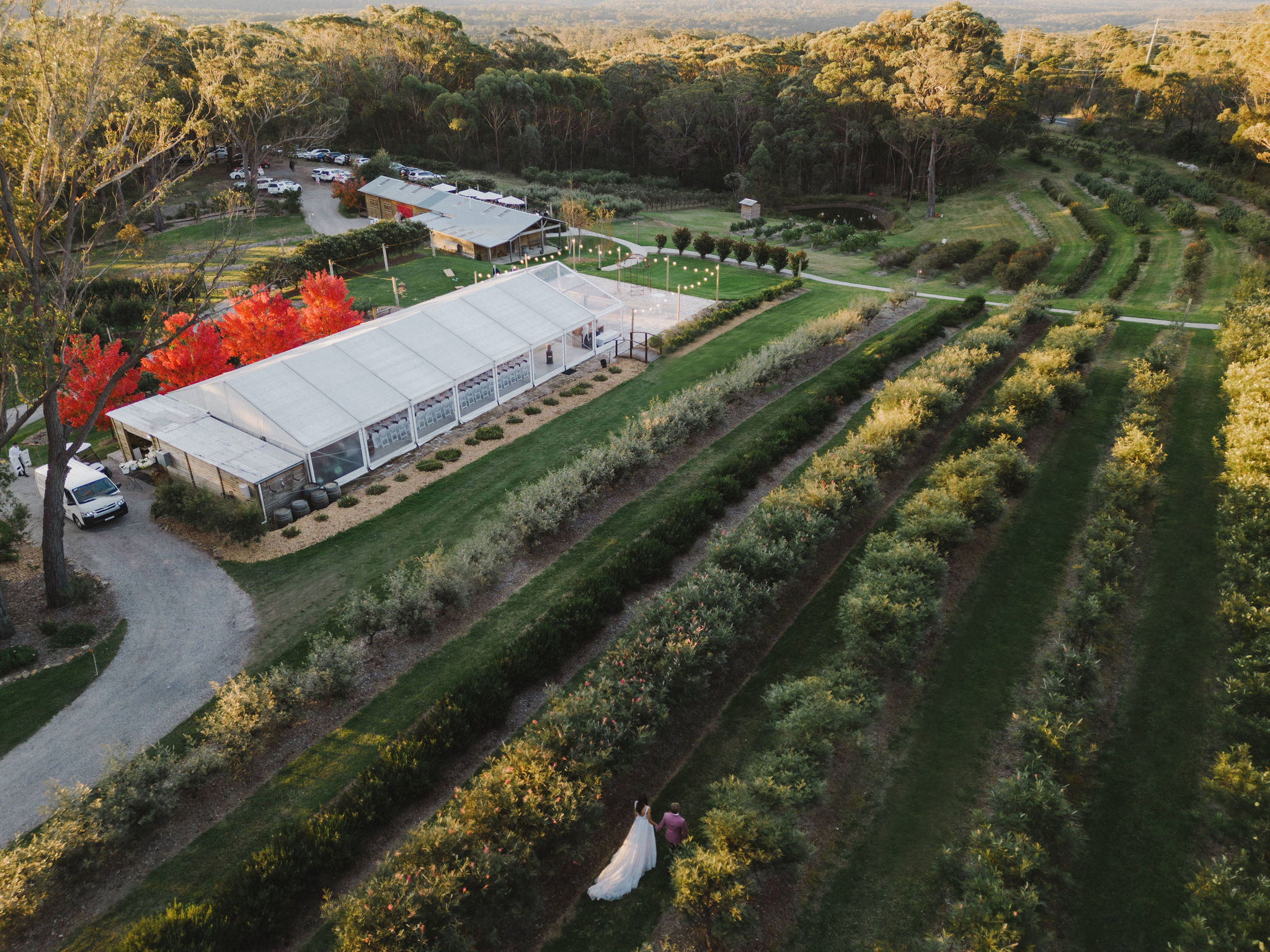 Growwild Wildflower Farm-2409151