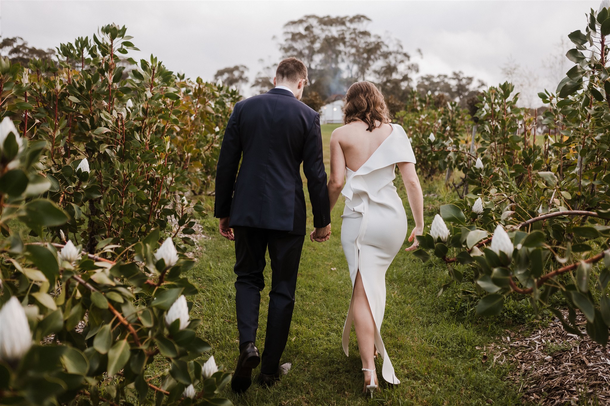 Growwild Wildflower Farm-2415791