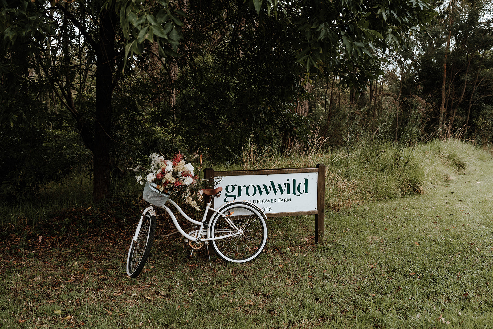 Growwild Wildflower Farm-2409211