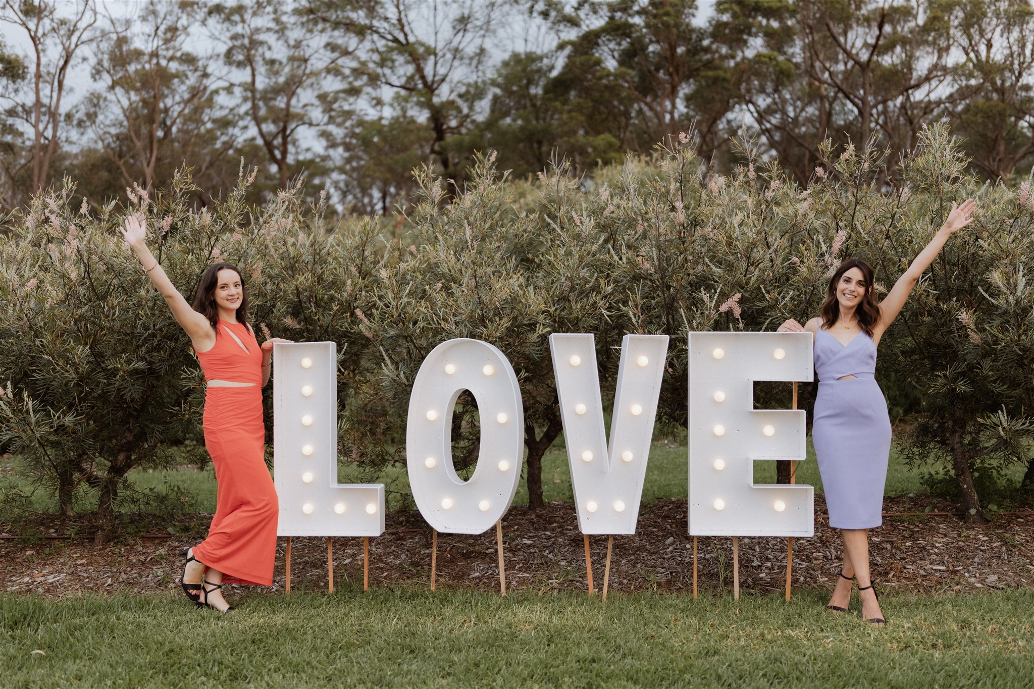 Growwild Wildflower Farm-2409208