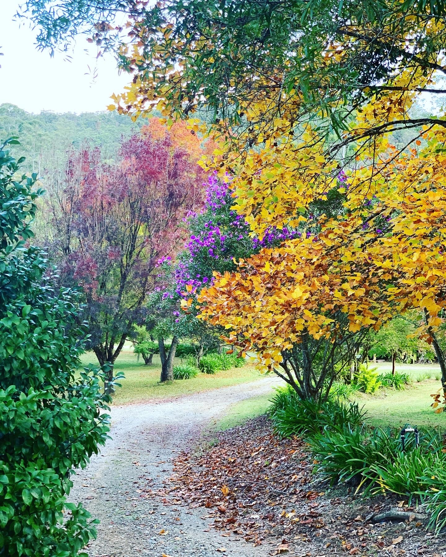 Gypsy Falls Retreat-2269727