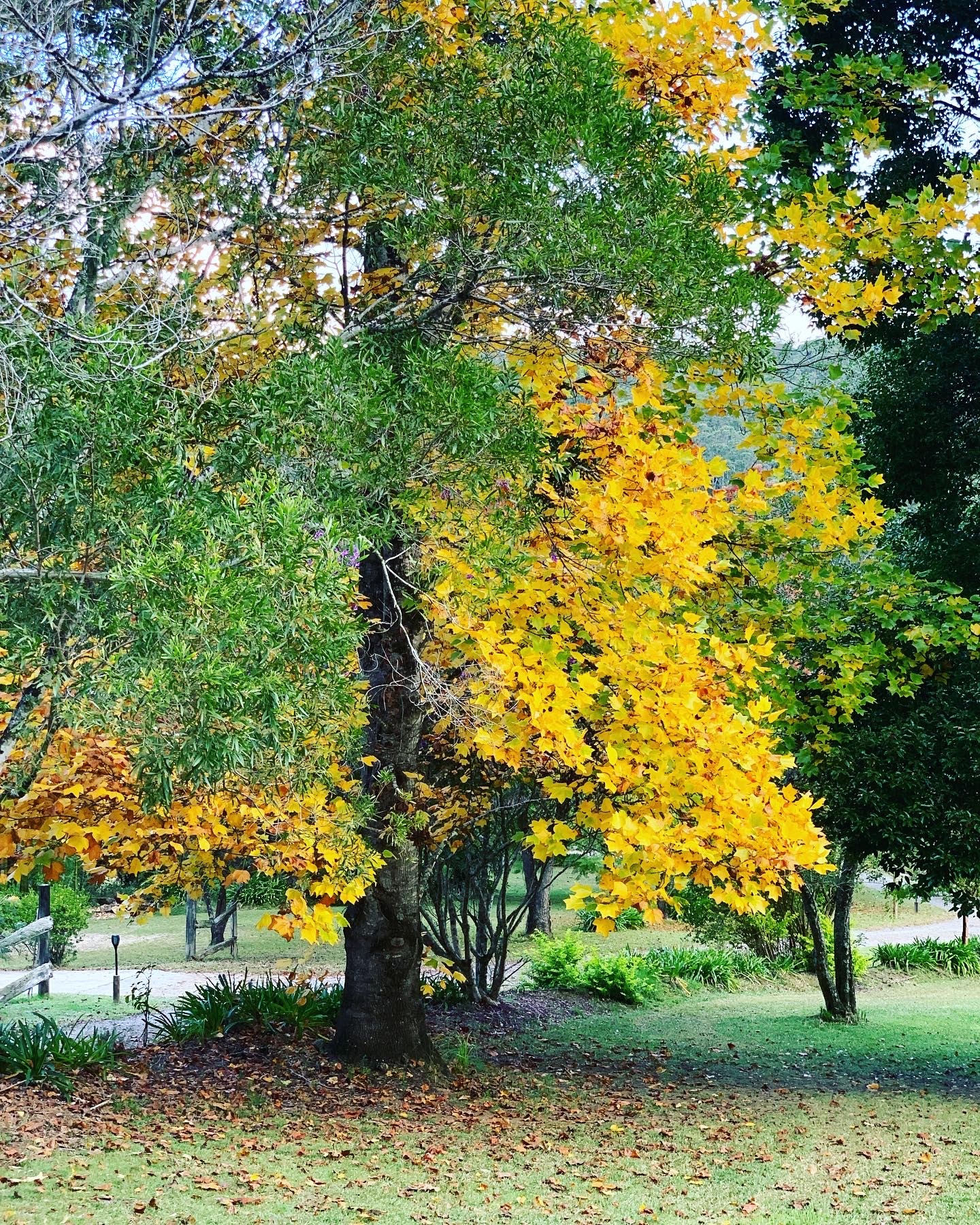 Gypsy Falls Retreat-2269726