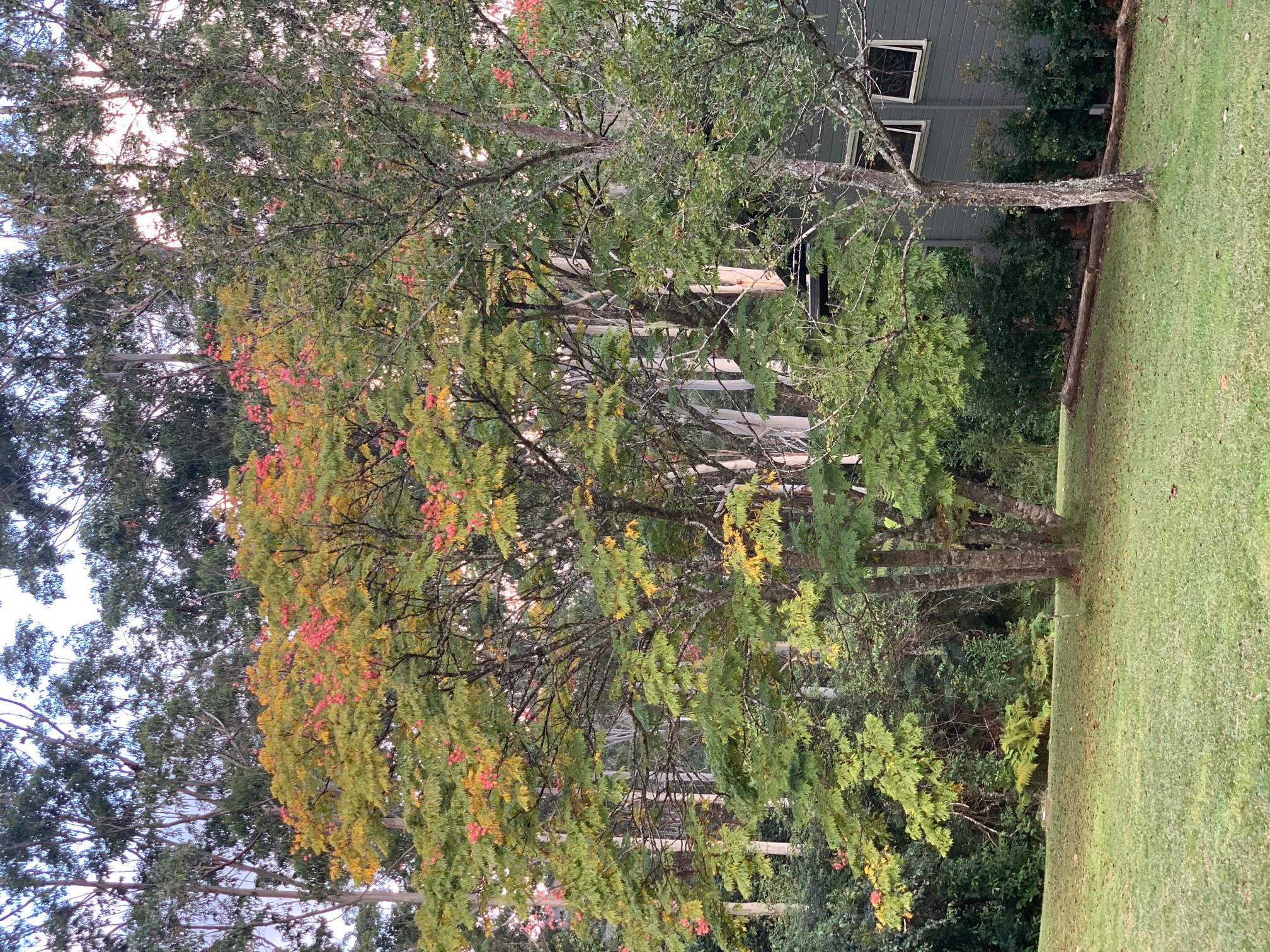 Gypsy Falls Retreat-2269733