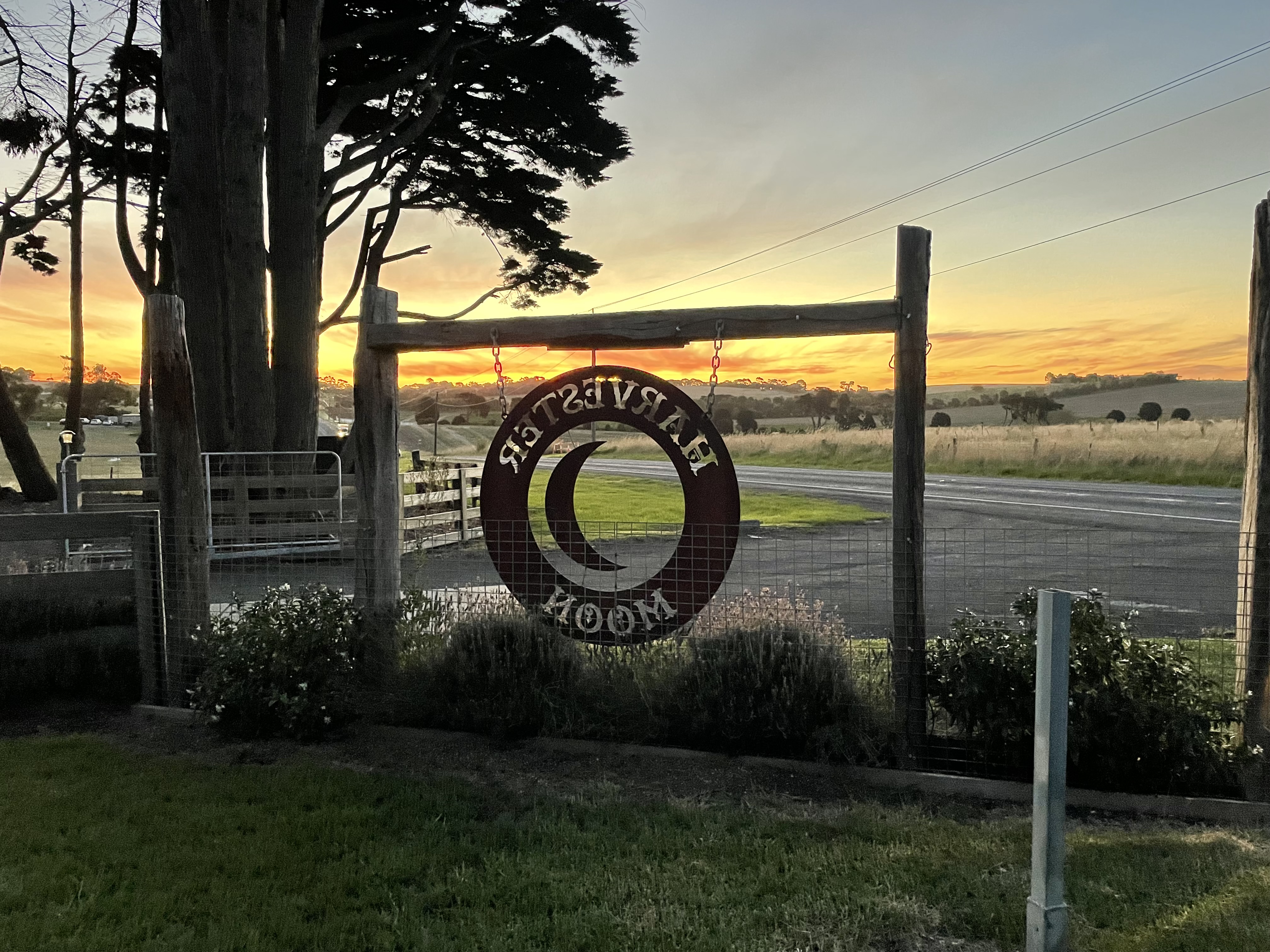 Harvester Moon-2419400