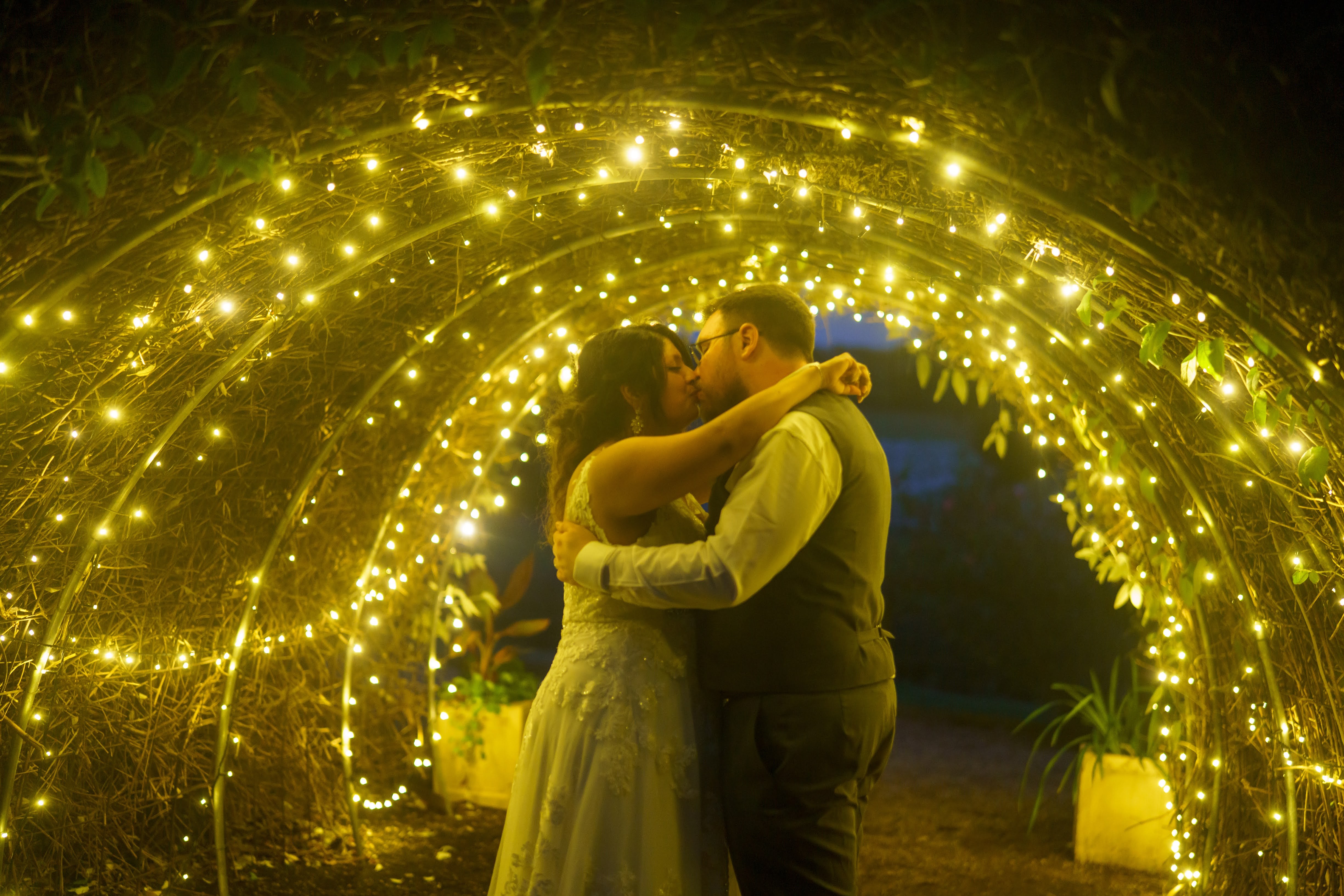 Harvester Moon-2419398