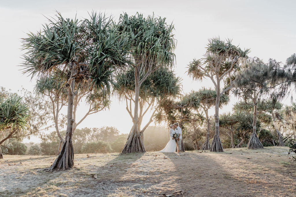 Kawana Surf Club-2134204