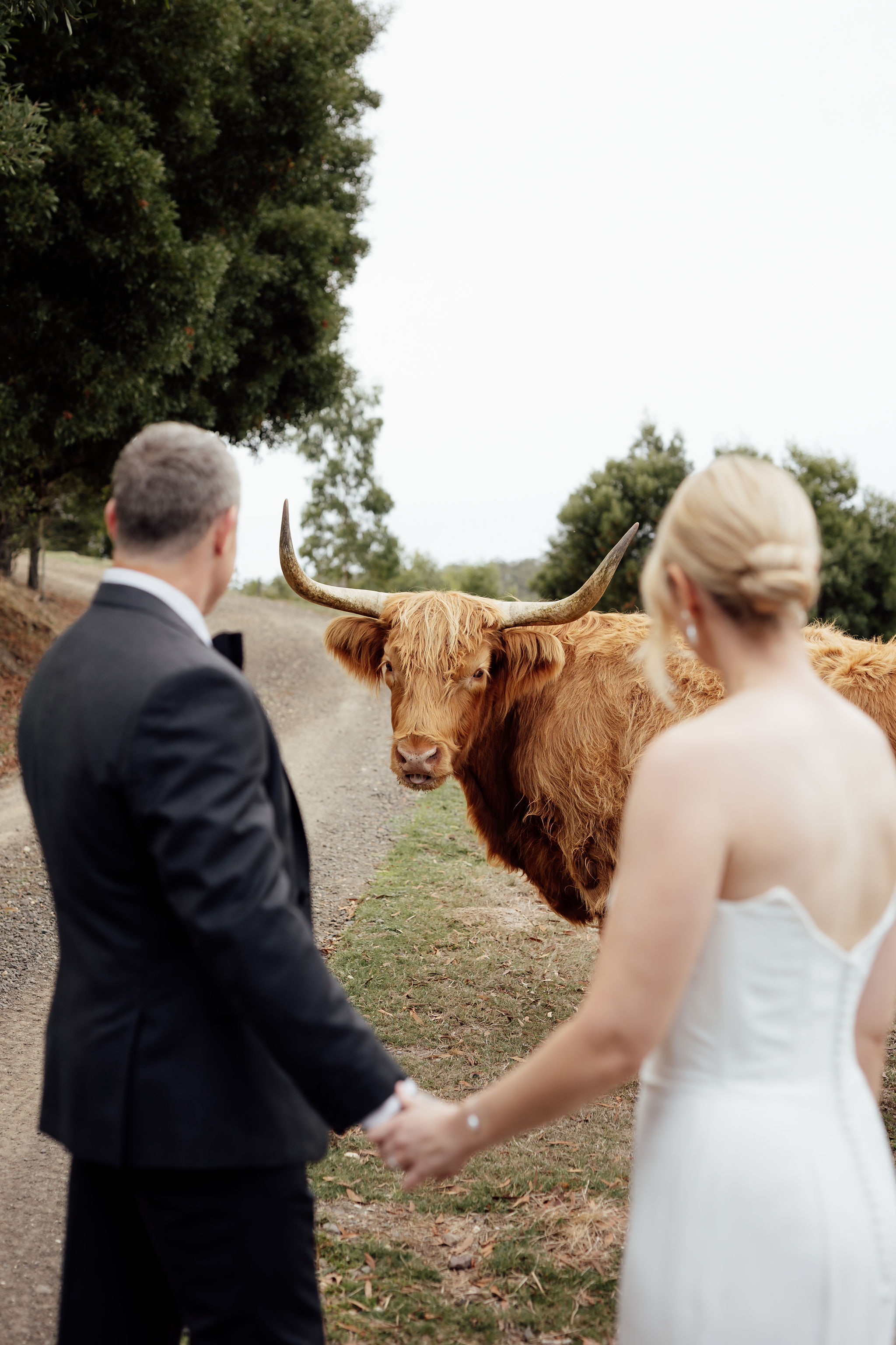 King Parrot Cottages & Event Centre-2439383