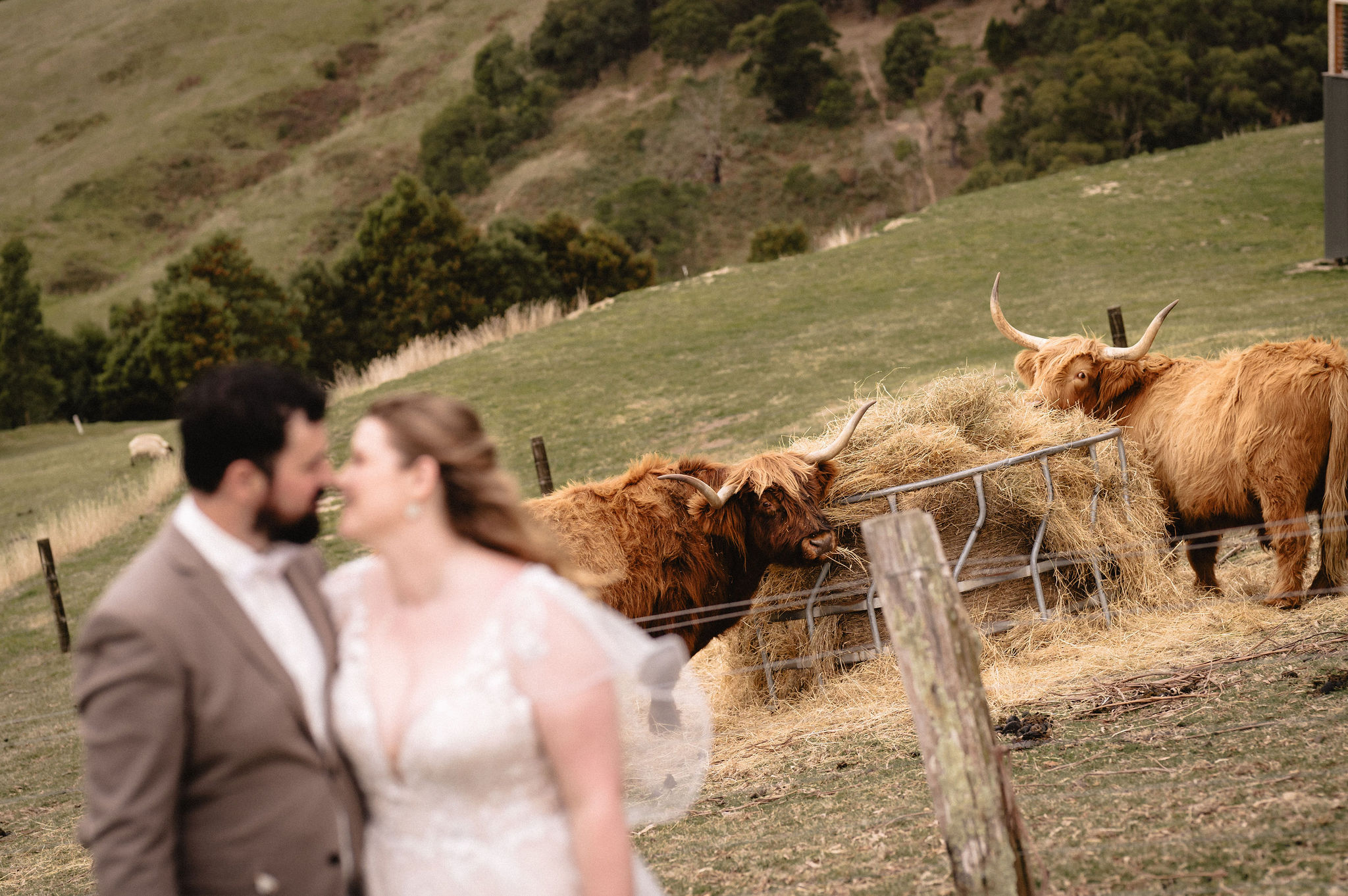 King Parrot Cottages & Event Centre-2510092