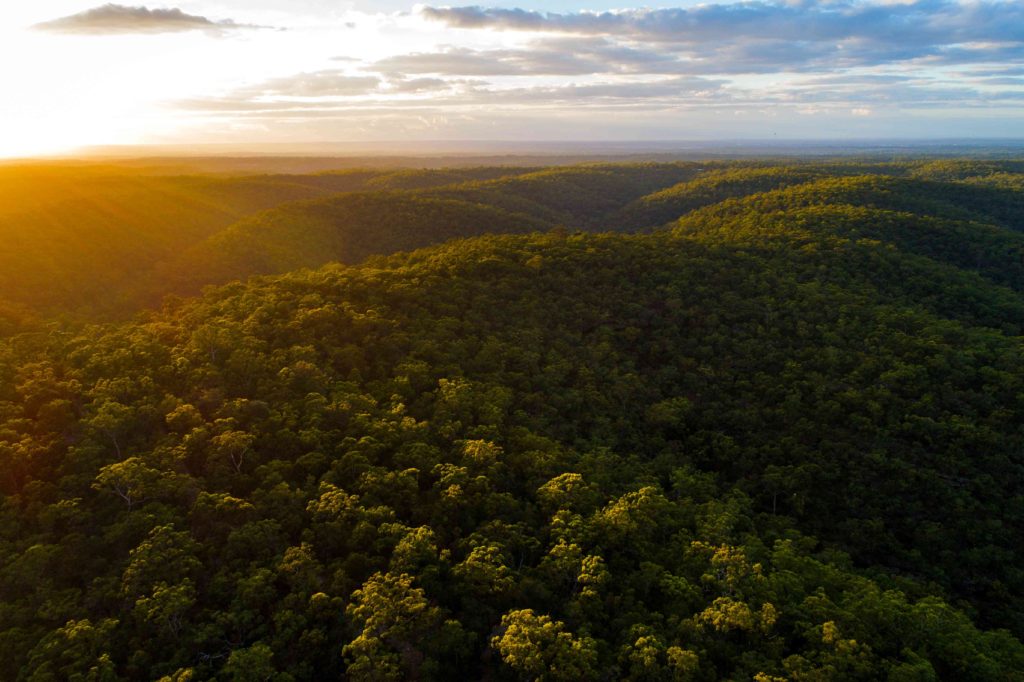 Kurrajong Trails and Cottages-2468489