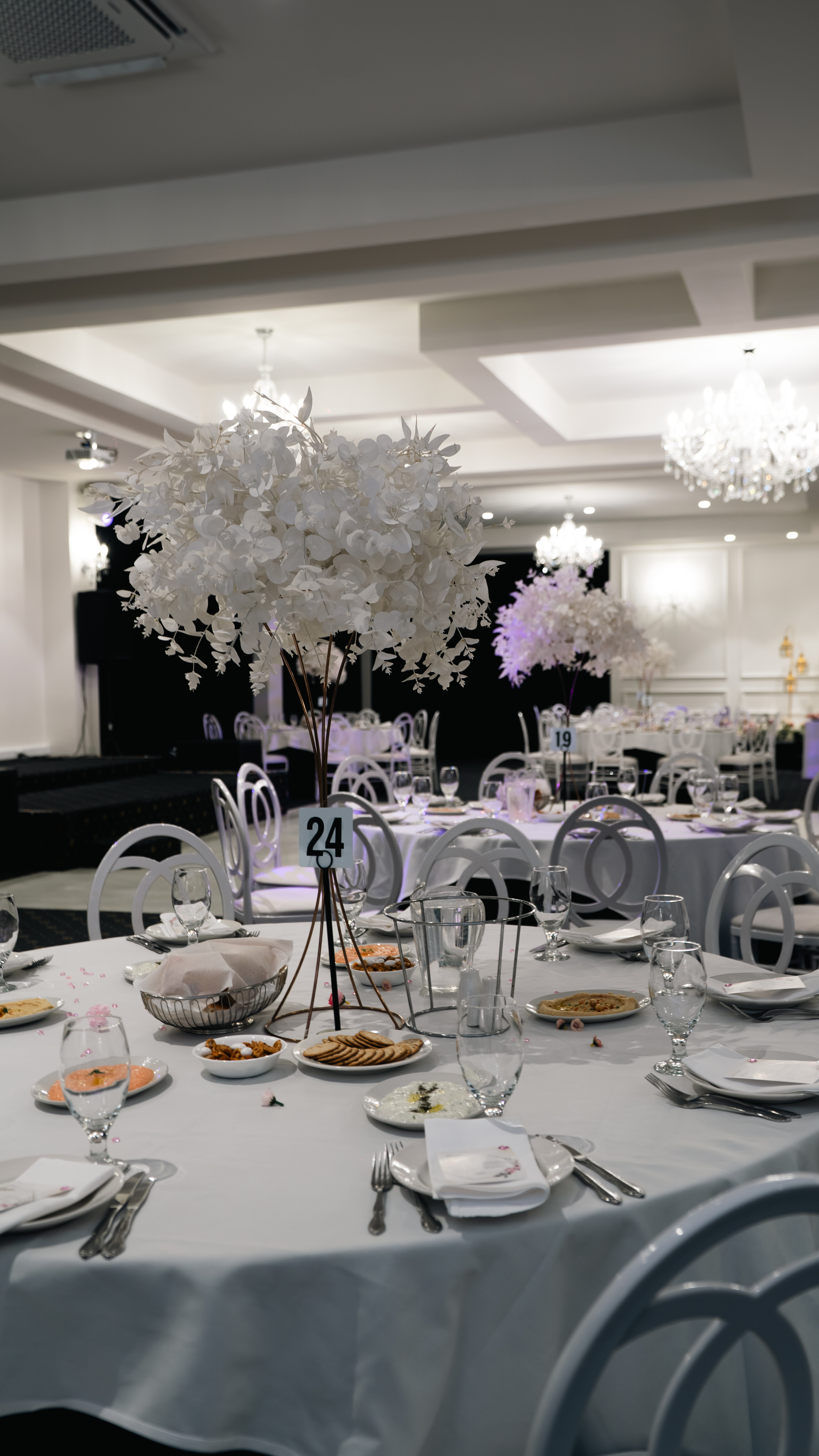 Laila Reception-2476369