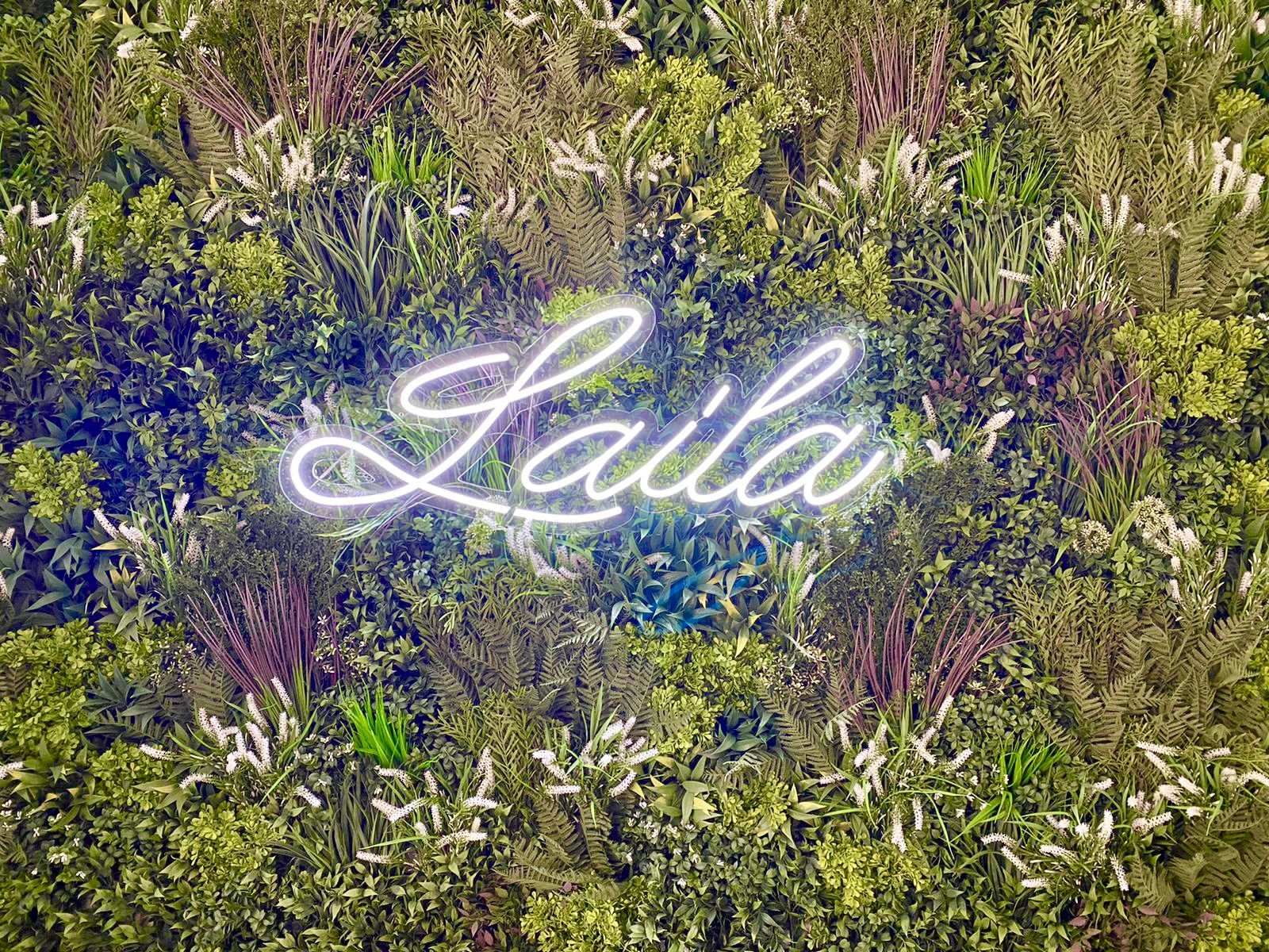 Laila Reception-2476408