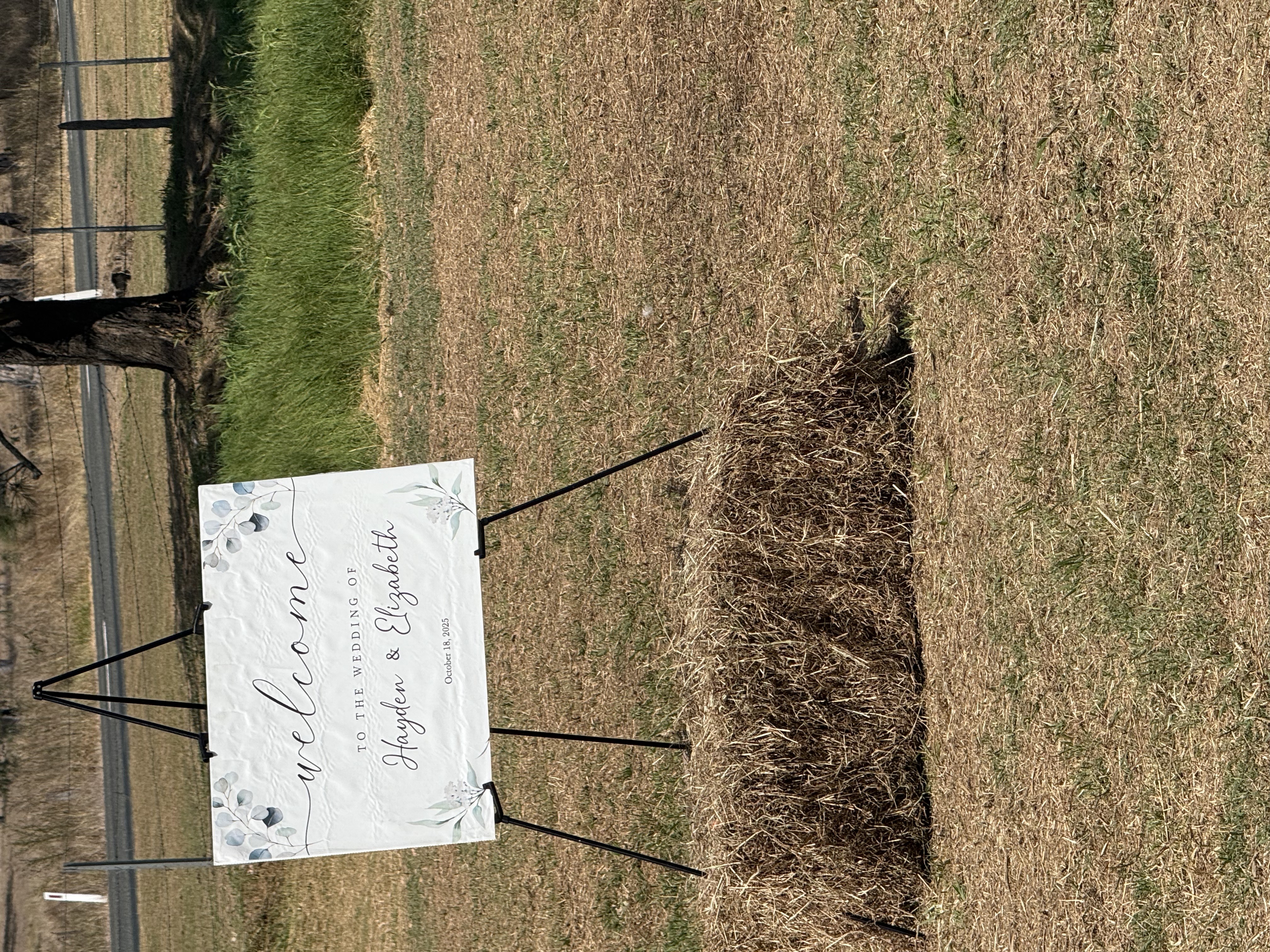 Lake P.S Teebar-2476358