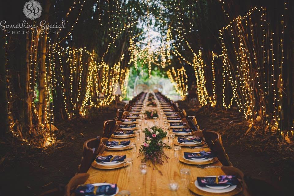 Laloli Garden-2532451