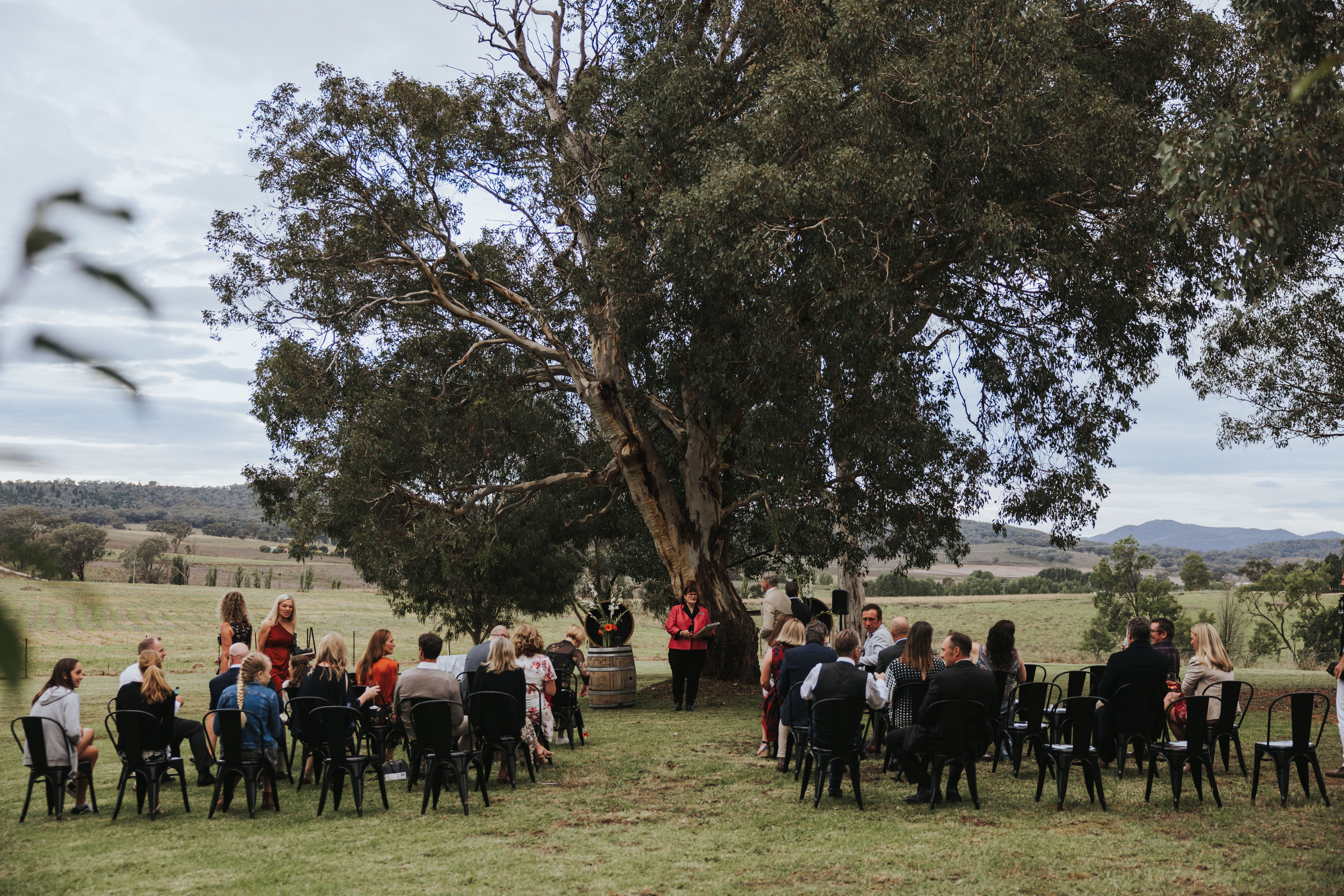 Lazy Oak Wines-2328610