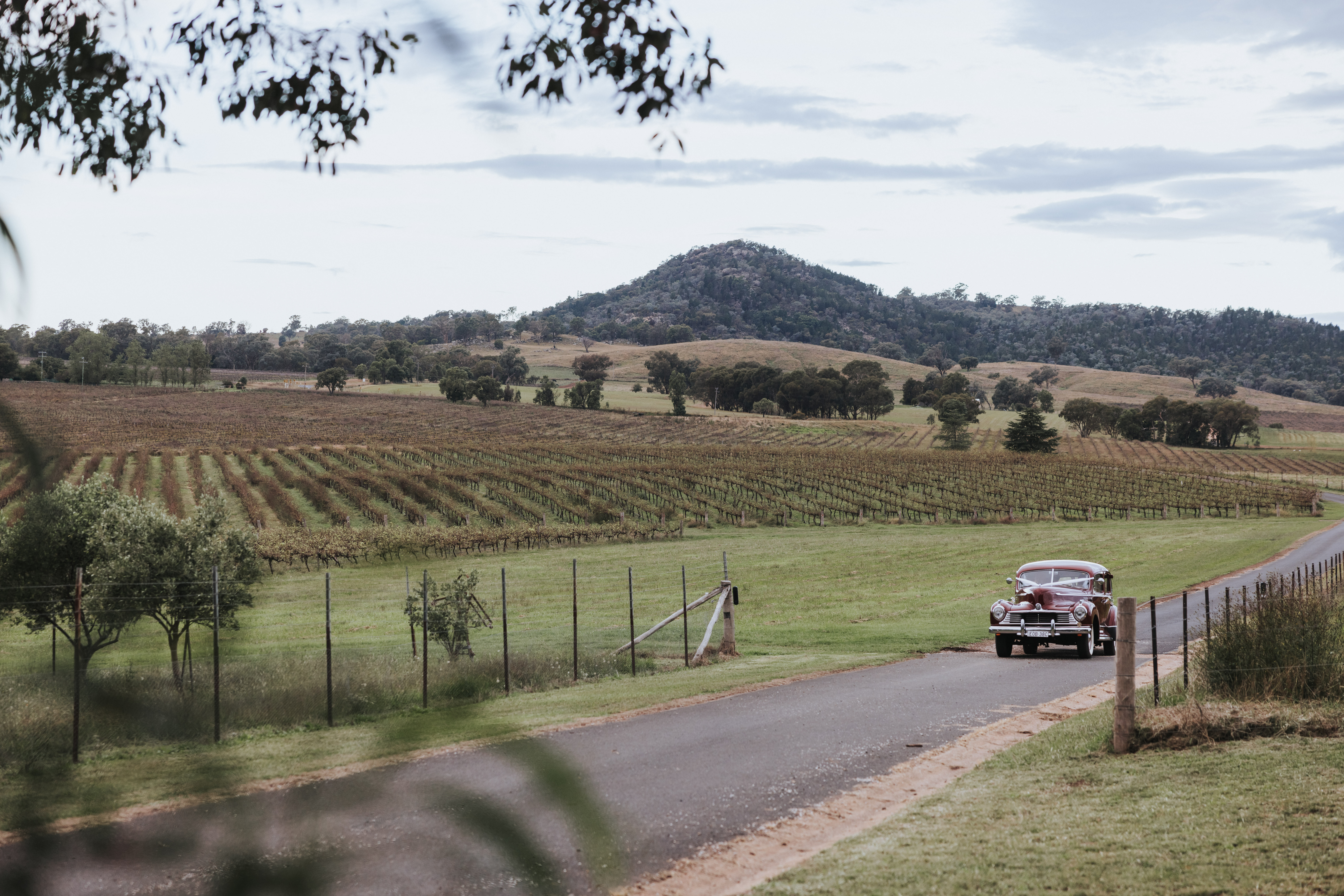 Lazy Oak Wines-2328611