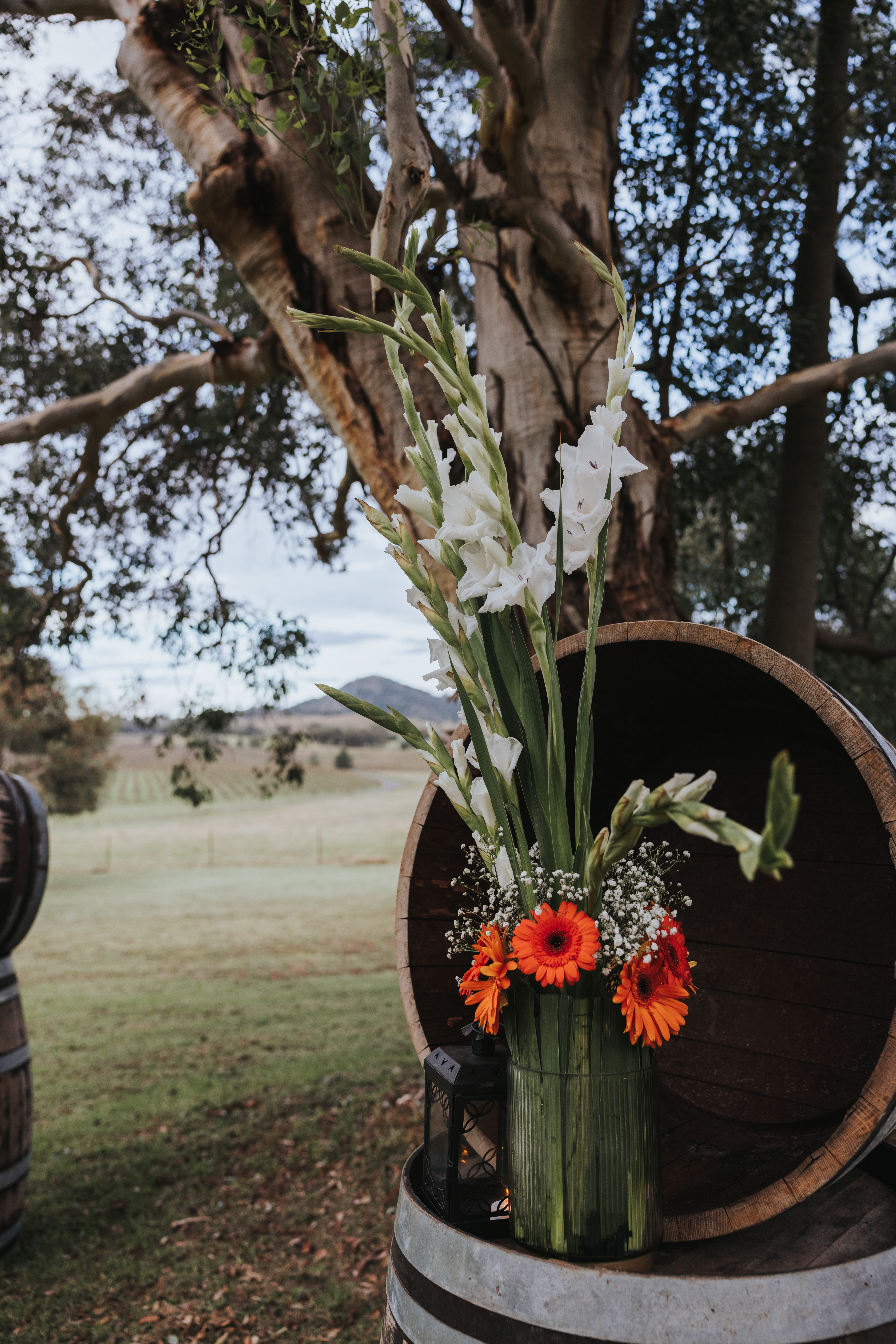 Lazy Oak Wines-2328609