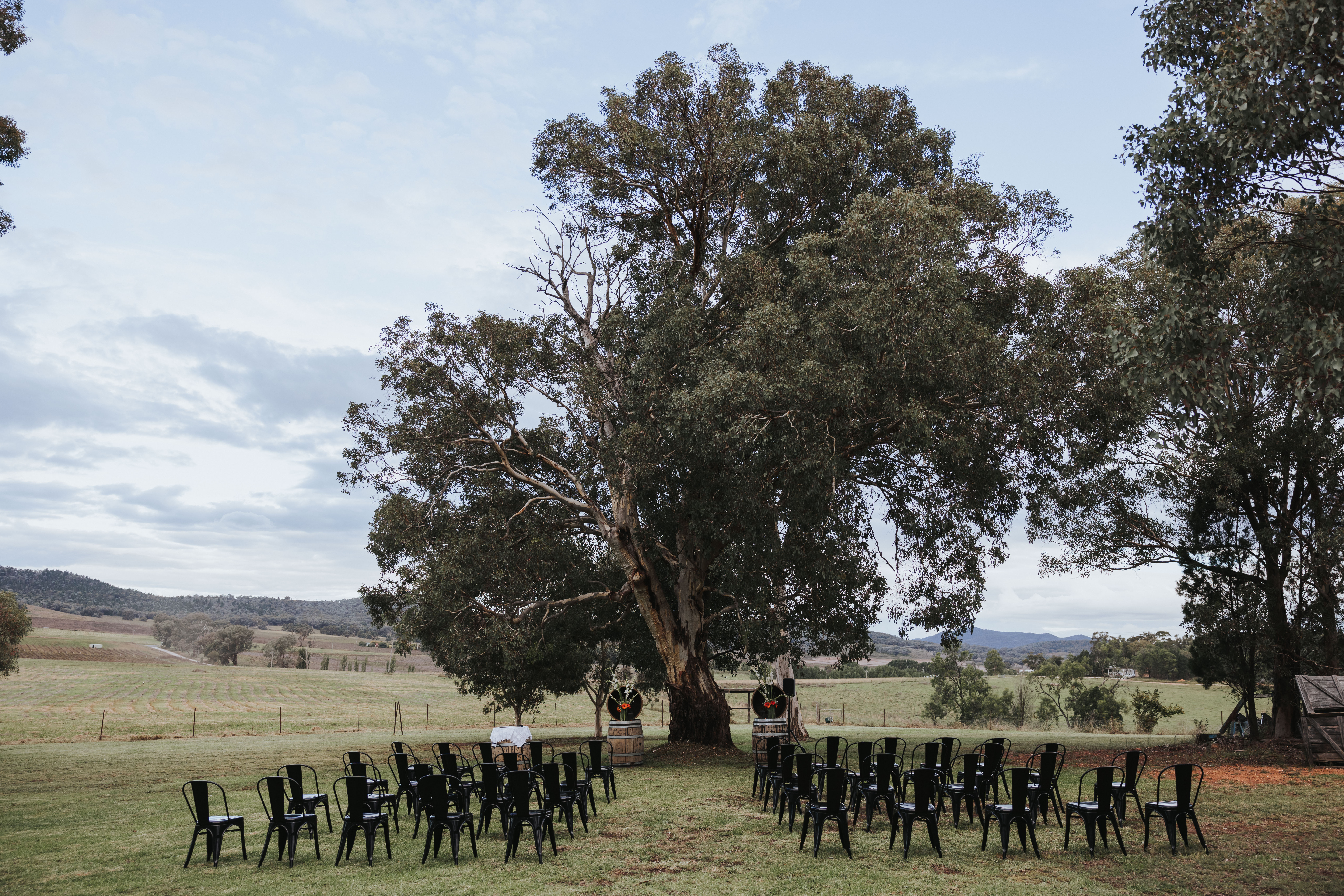 Lazy Oak Wines-2328608