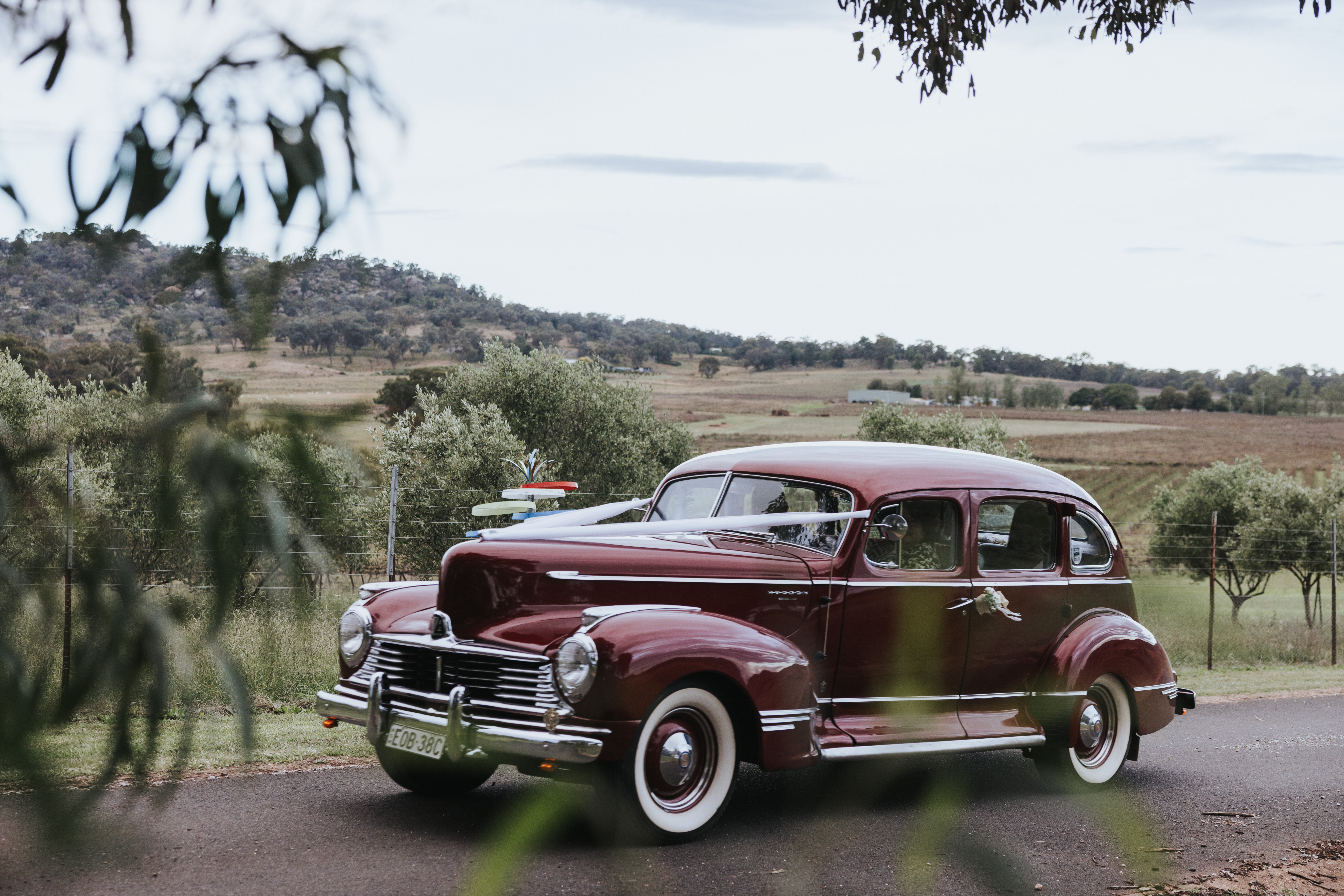 Lazy Oak Wines-2328612