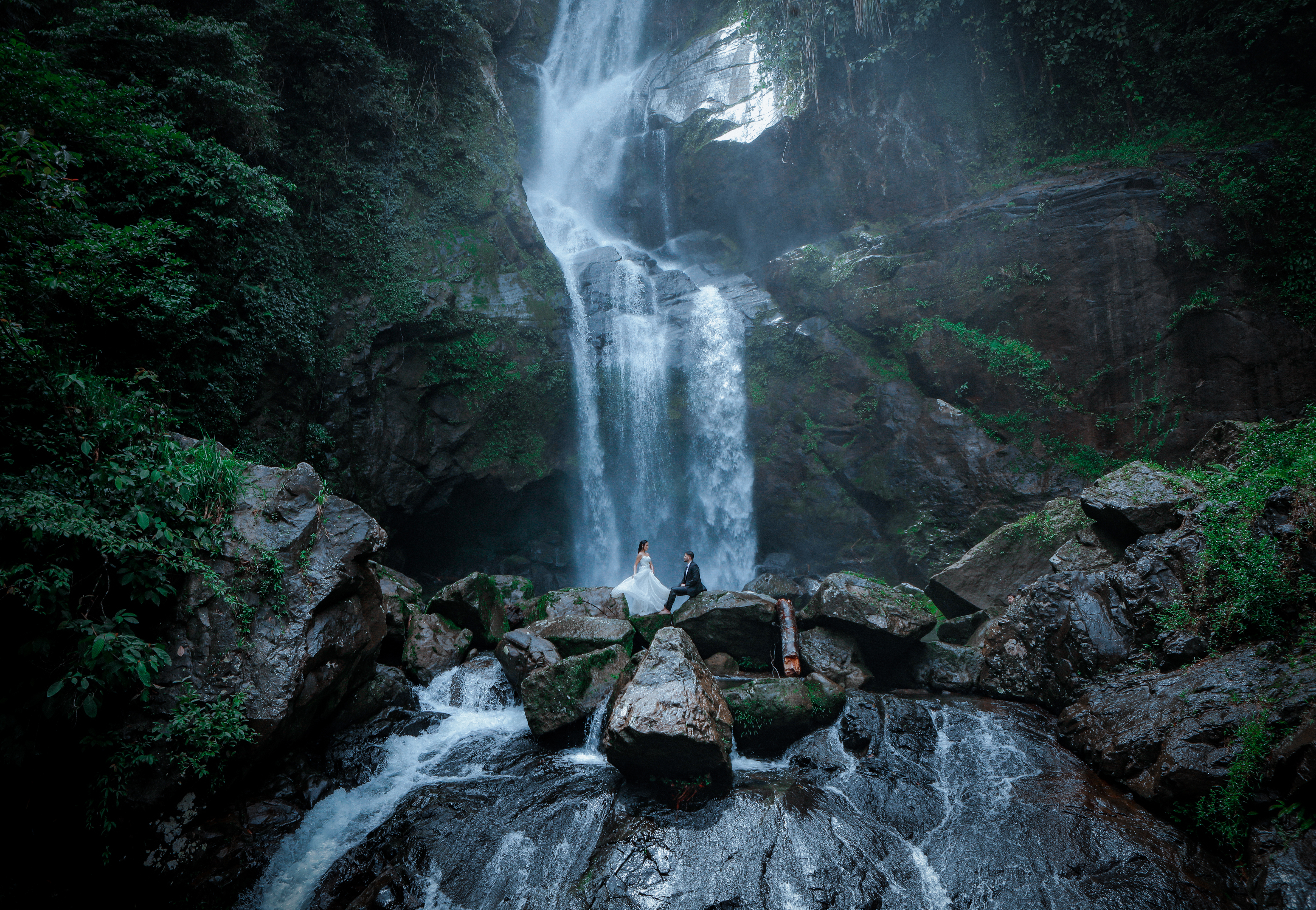 Libera Arts - Photo & Video