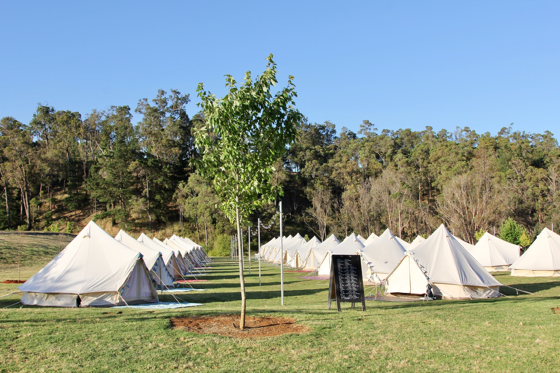 Linga Longa Estate-2438931