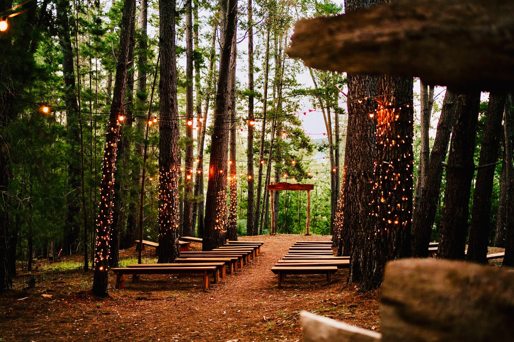 Linga Longa Estate-2438924