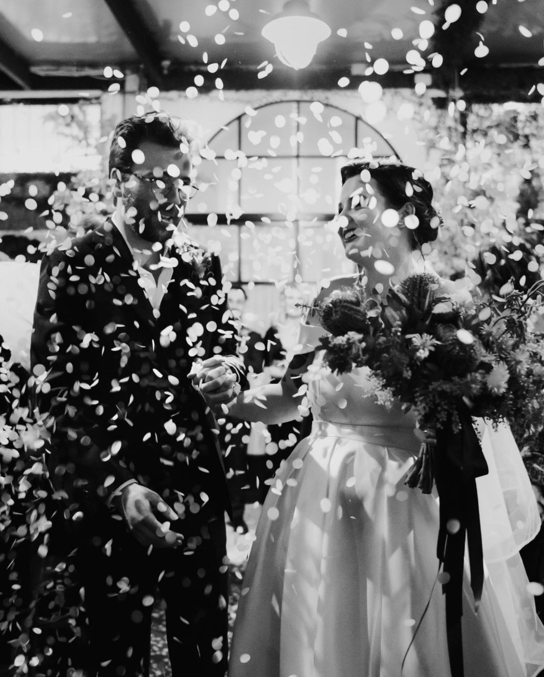 Little Henri-2338507