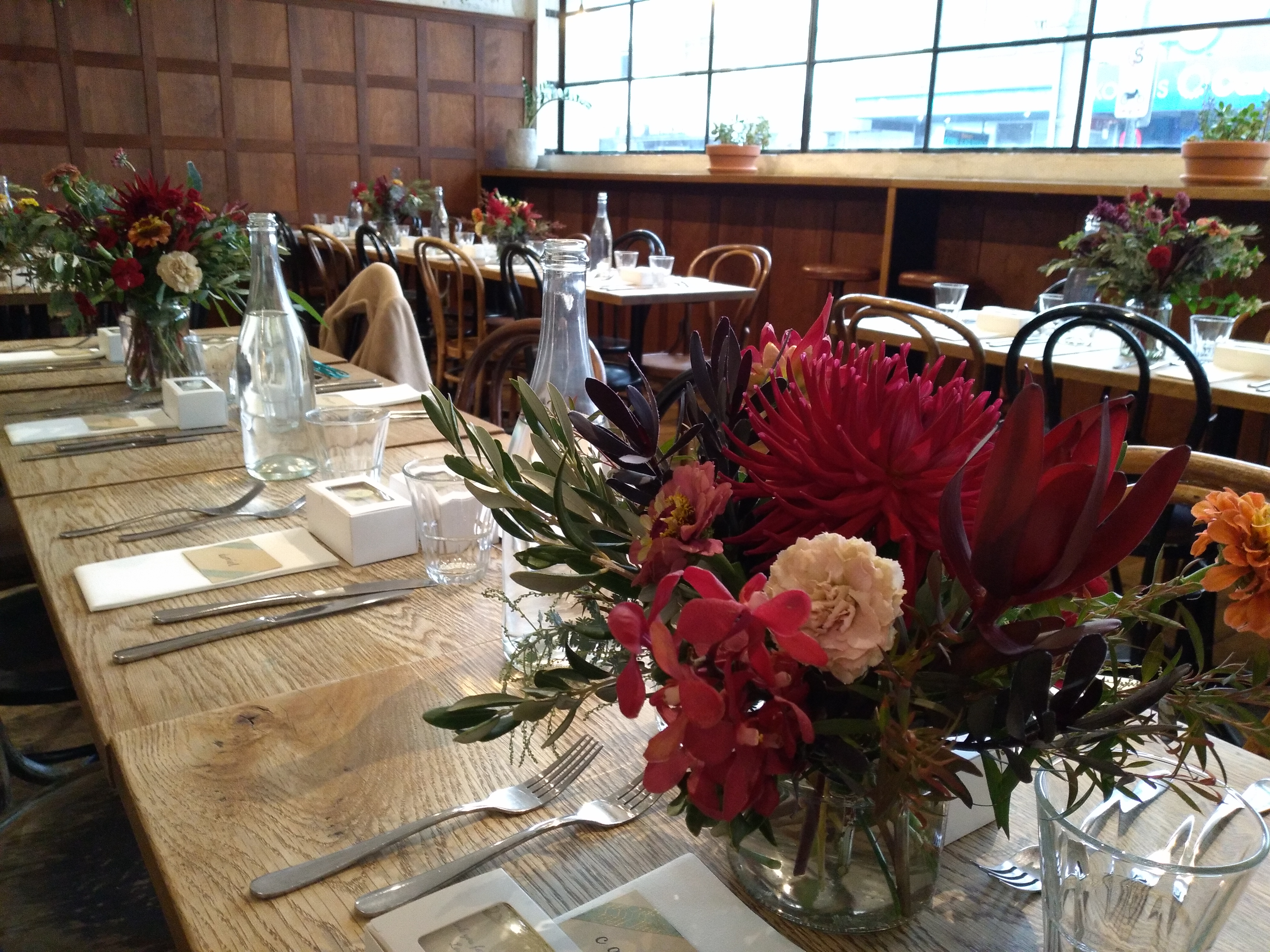 Little Henri-2342194