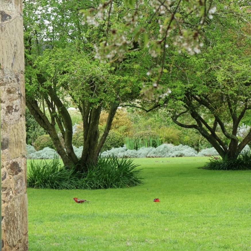 Longfield 1838-2199956