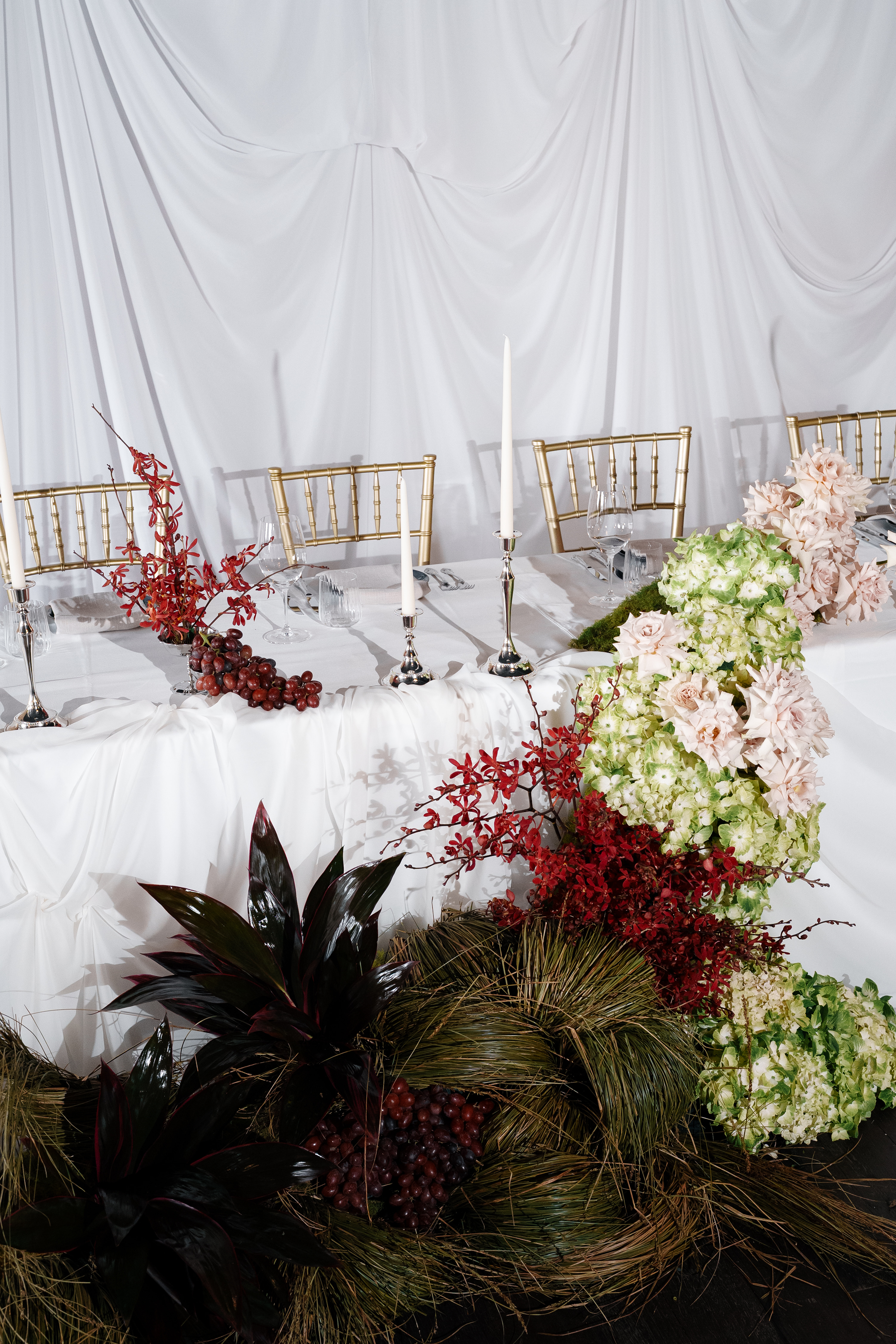 Luna Lu and Como Italian at Campbell's Stores-2487368