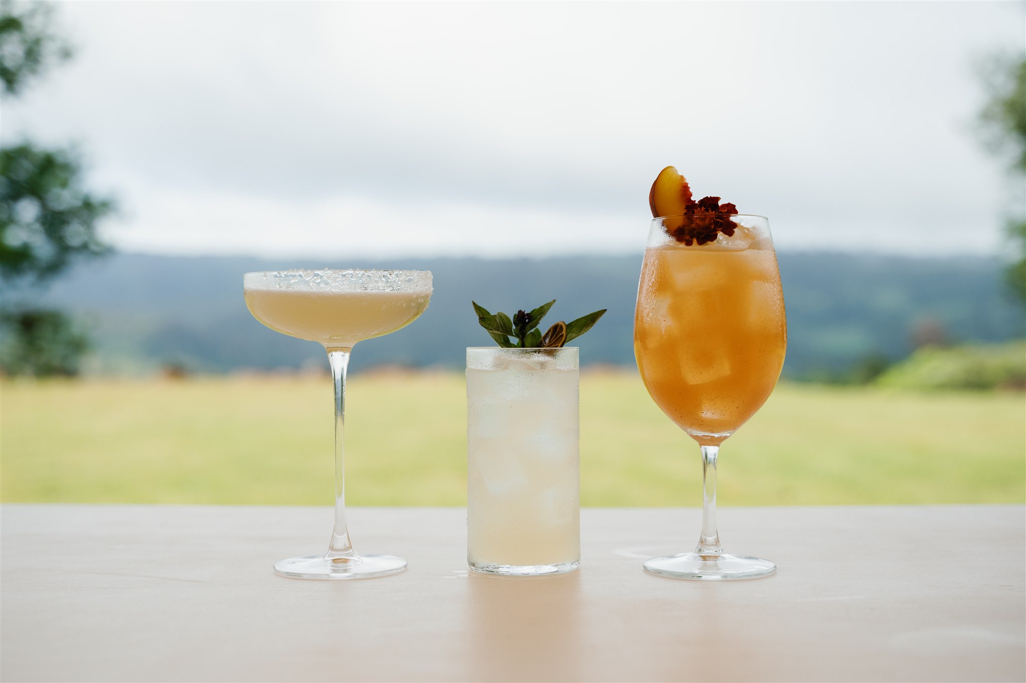 Maleny Country Estate-2386602