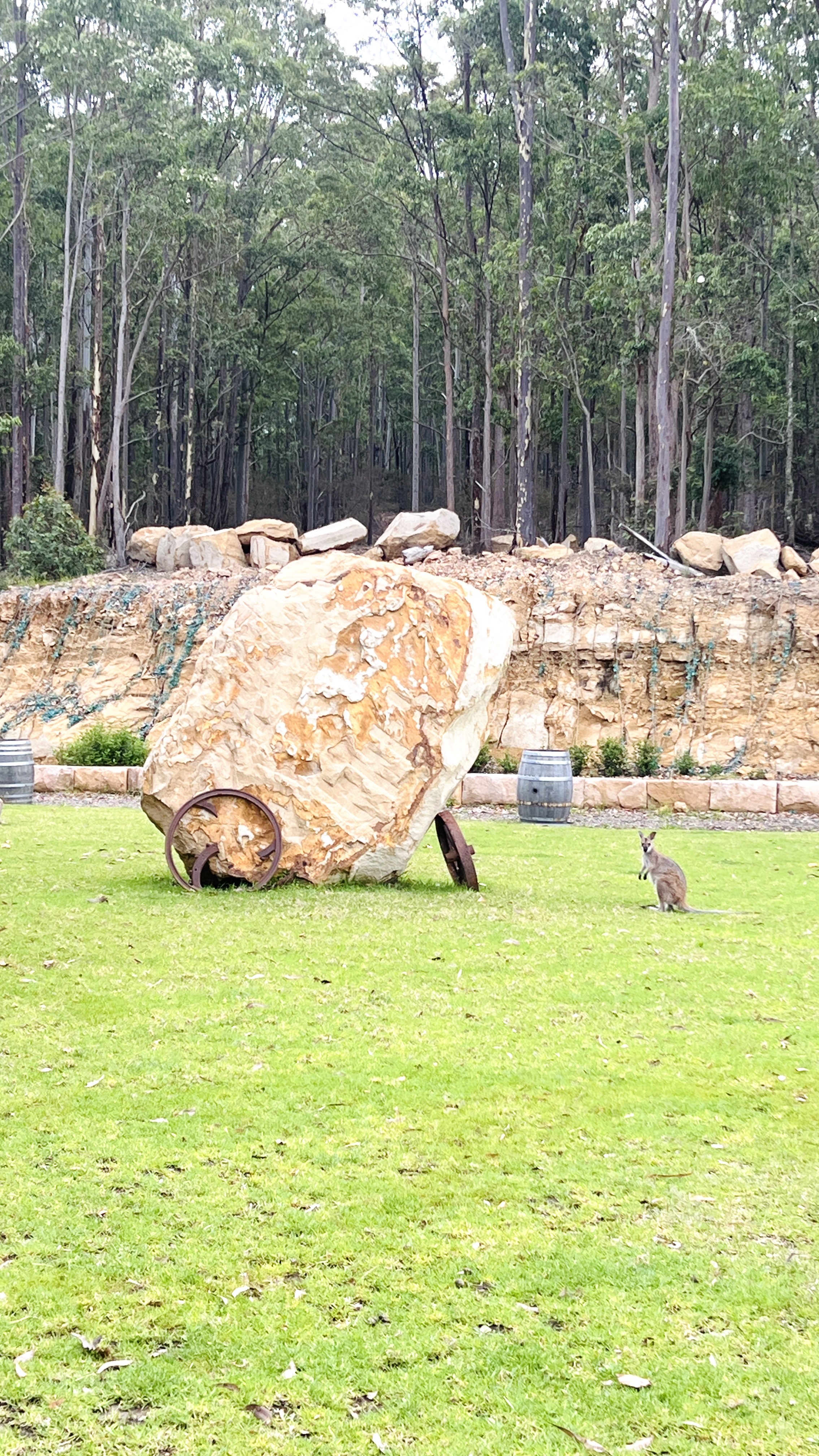 Mandalong Country Estate-2463330