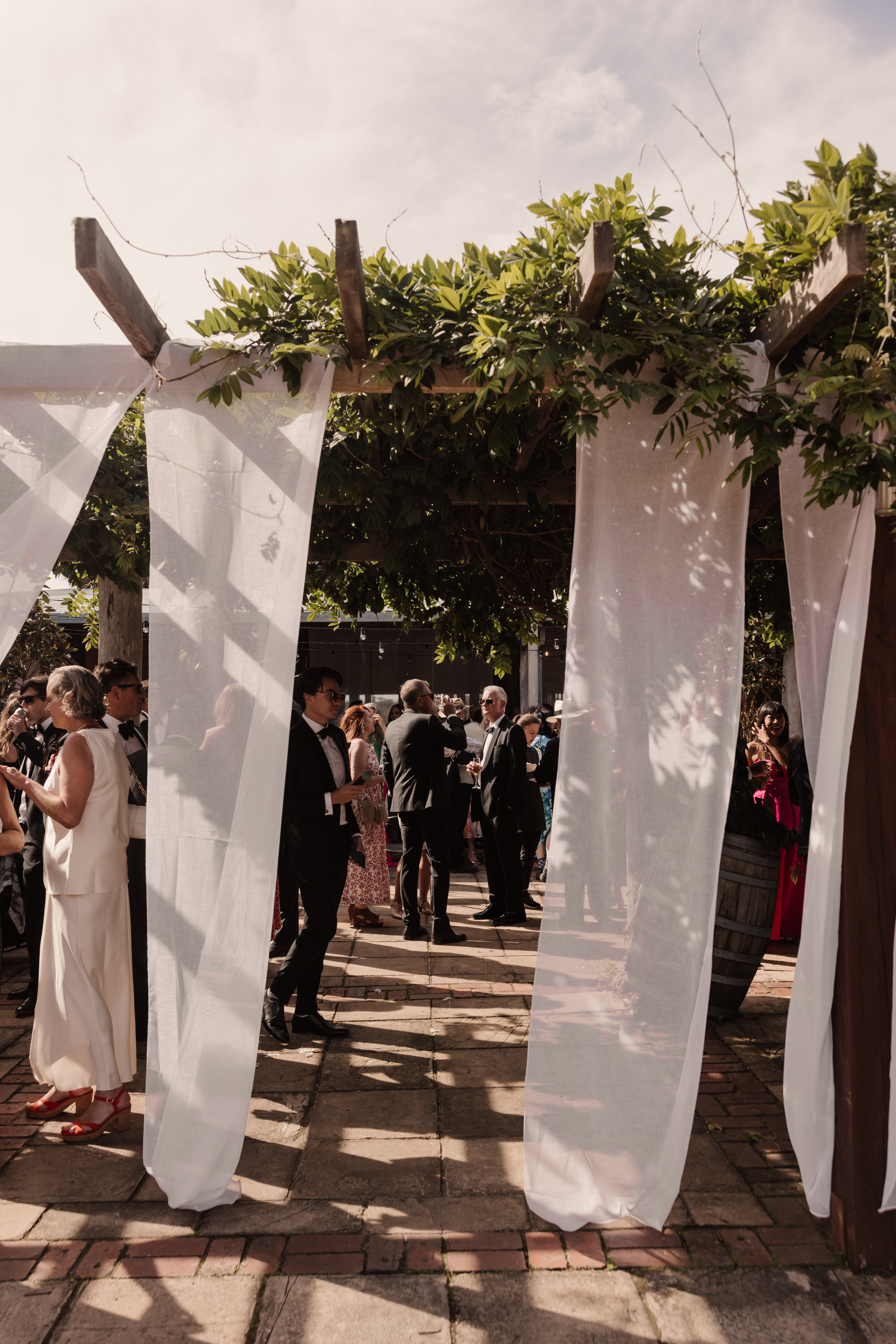 Mimosa Wines-2434187