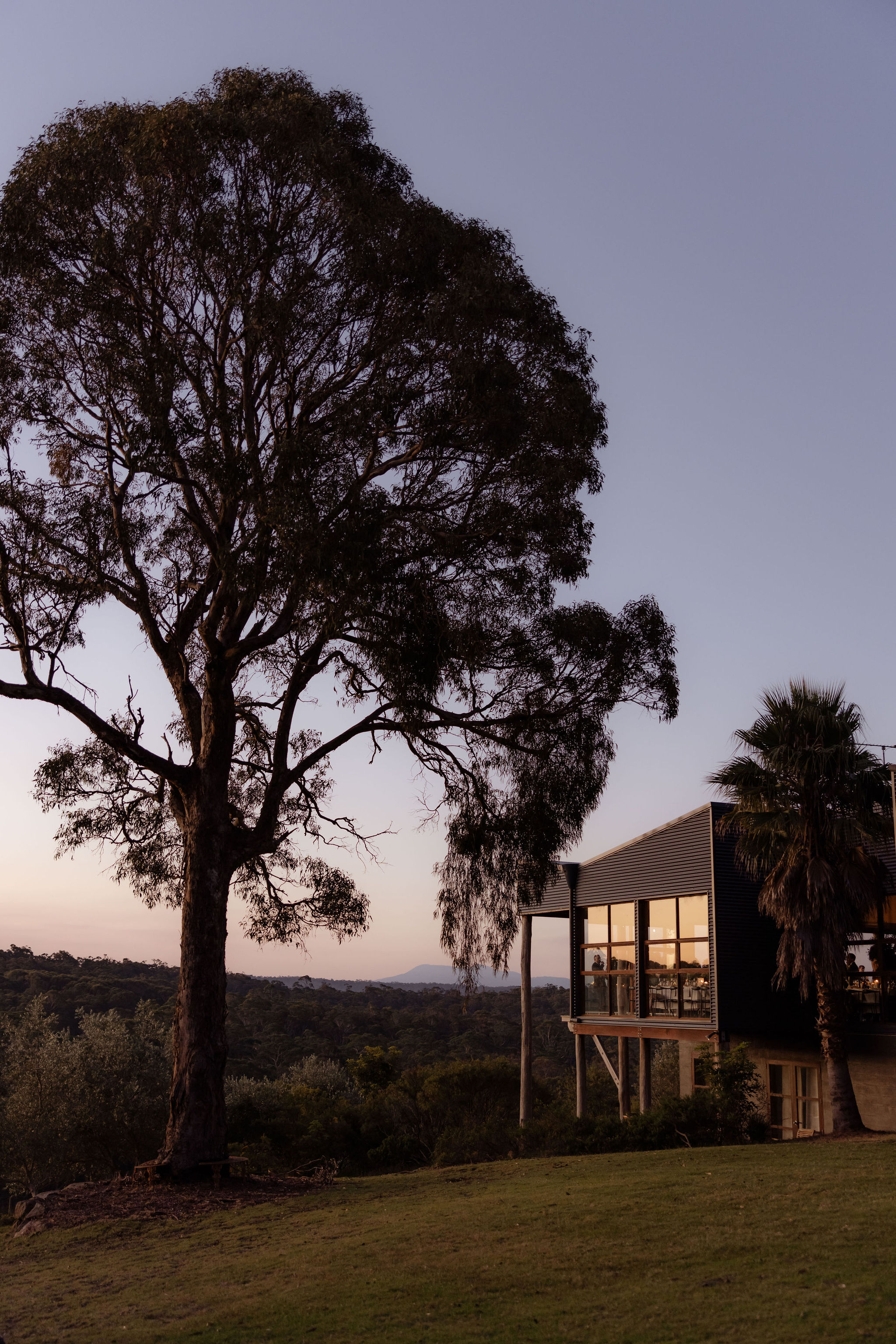 Mimosa Wines-2483463