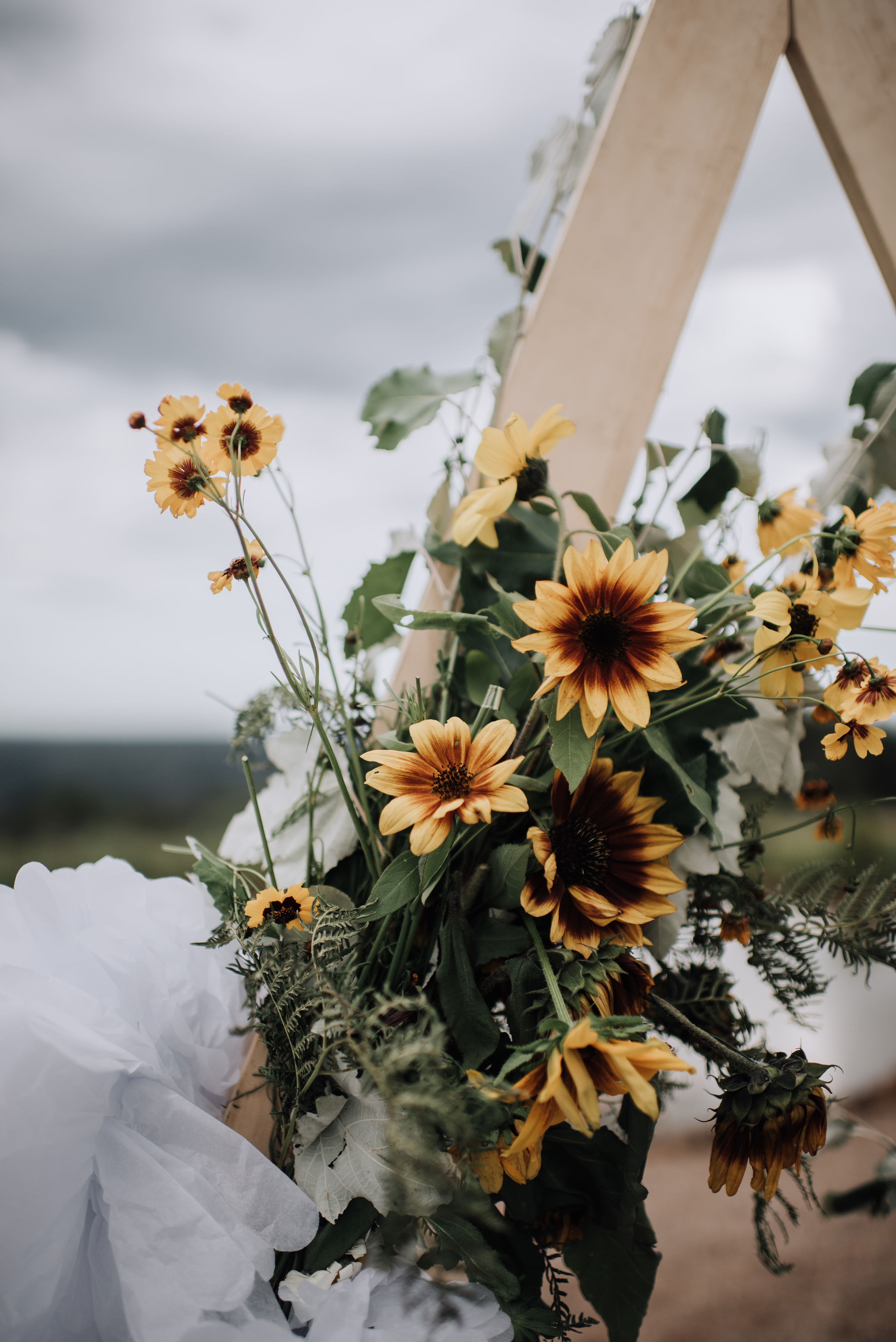 Misty Mountain Barn-2118298