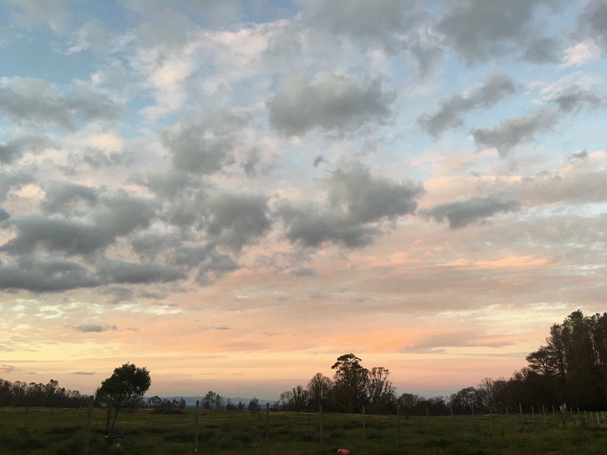 Misty Mountain Barn-2119153